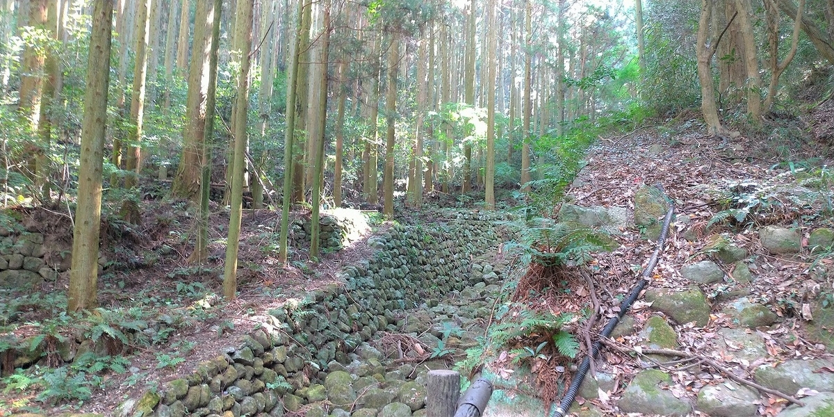 f:id:Harufuku:20211018160308j:plain