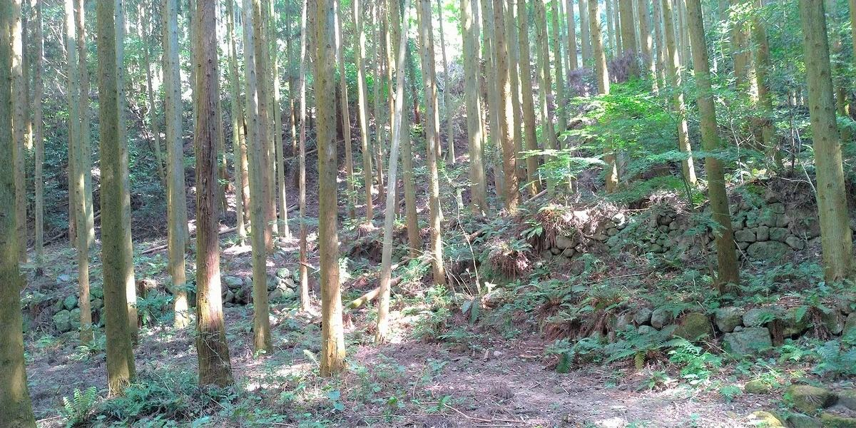 f:id:Harufuku:20211018160350j:plain