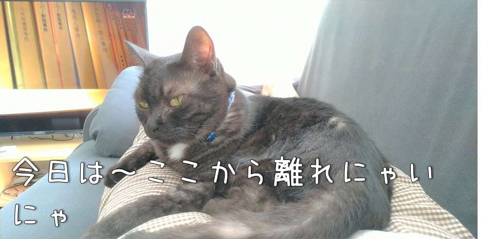 f:id:Harufuku:20211018162403j:plain