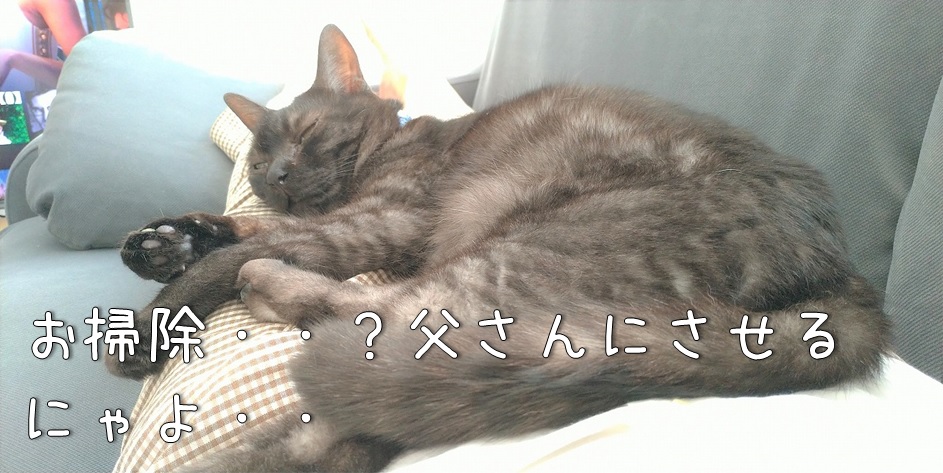 f:id:Harufuku:20211018162510j:plain