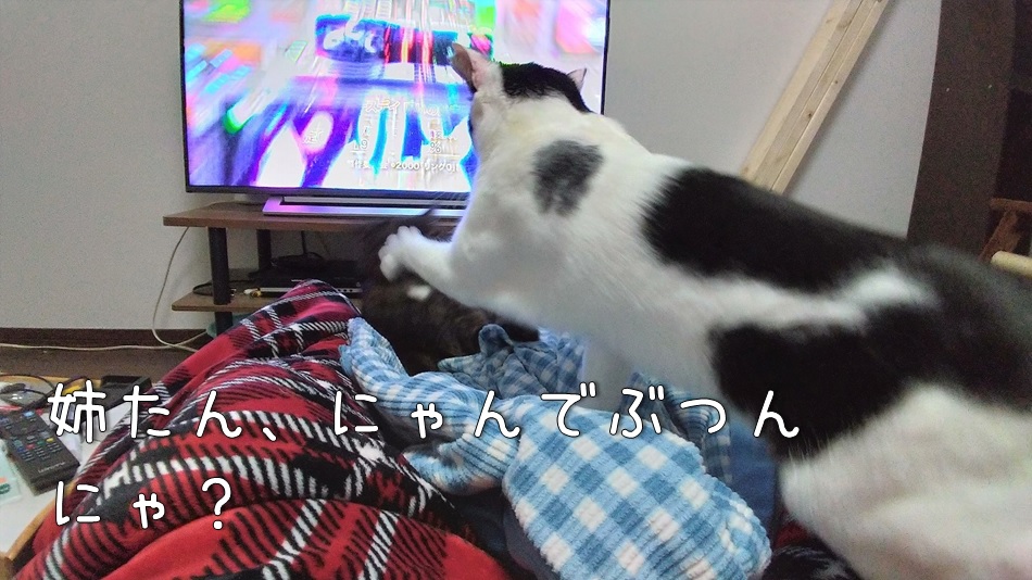 f:id:Harufuku:20220113165049j:plain