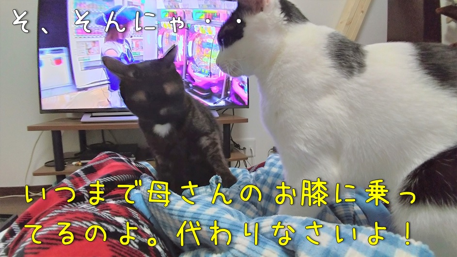 f:id:Harufuku:20220113165127j:plain