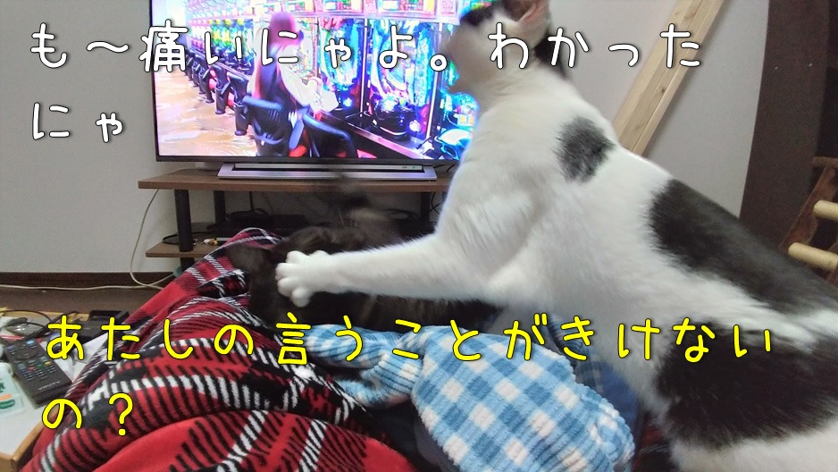 f:id:Harufuku:20220113165224j:plain