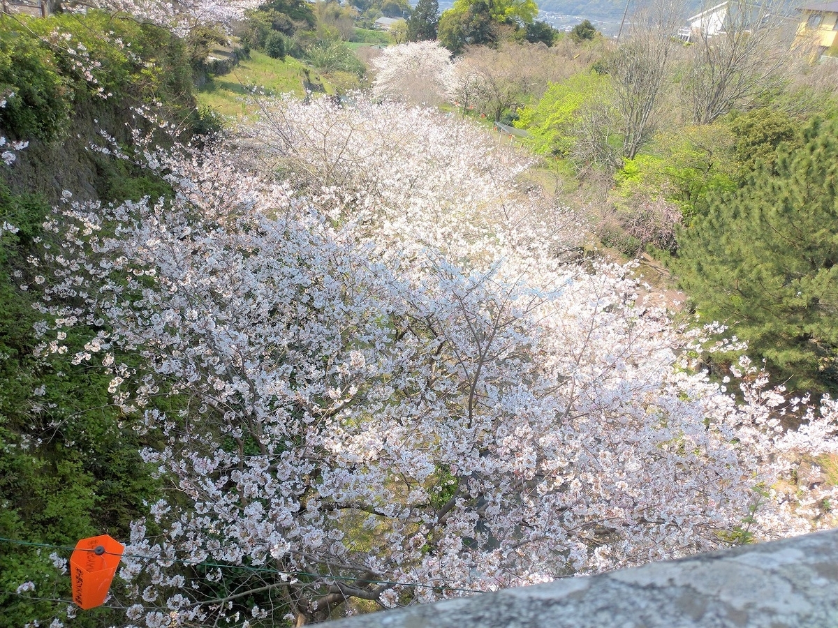f:id:Harufuku:20220331163617j:plain