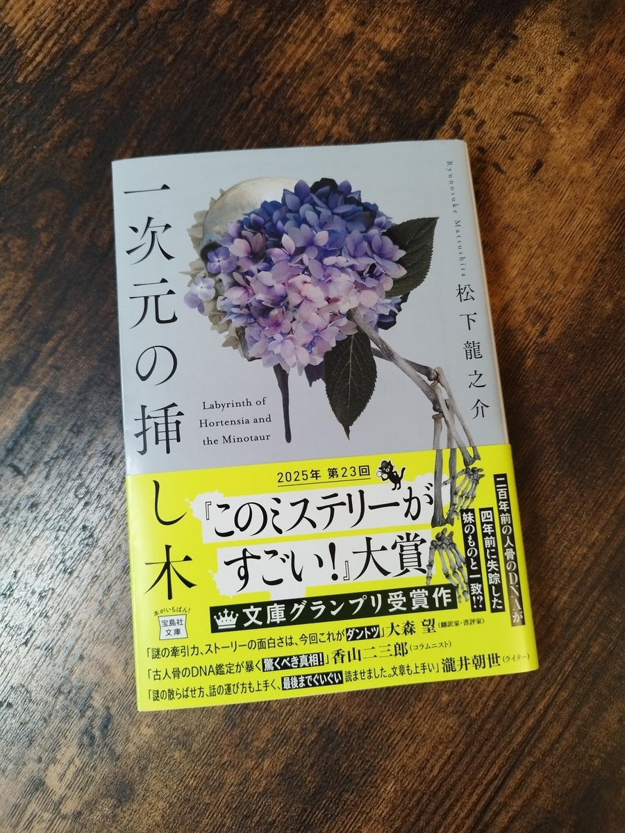 一次元の挿し木（著：松下龍之介）【読了感想】 春光皓（はるみつひかる）の言葉あそび 