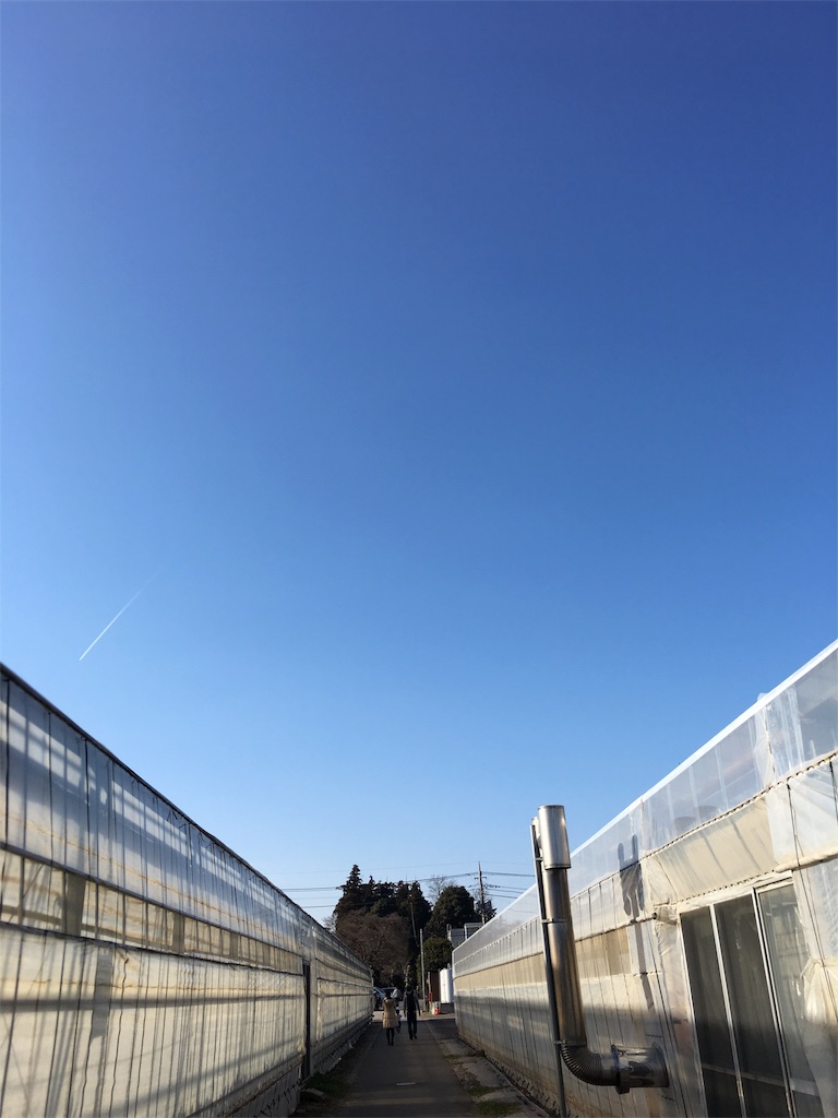 f:id:Harumo:20170131223703j:image