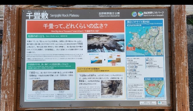 f:id:Hasumuro:20240729131256j:image f:id:Hasumuro:20240729131256j:image