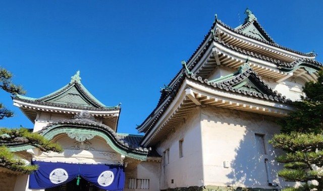 f:id:Hasumuro:20250104131218j:image f:id:Hasumuro:20250104131218j:image
