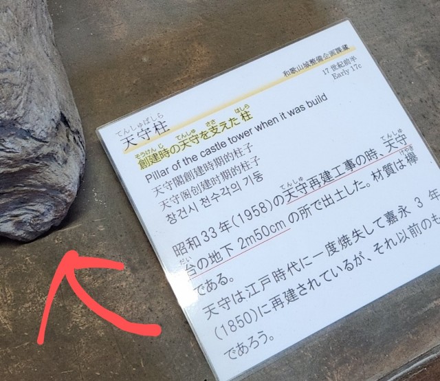 f:id:Hasumuro:20250104132306j:image f:id:Hasumuro:20250104132306j:image