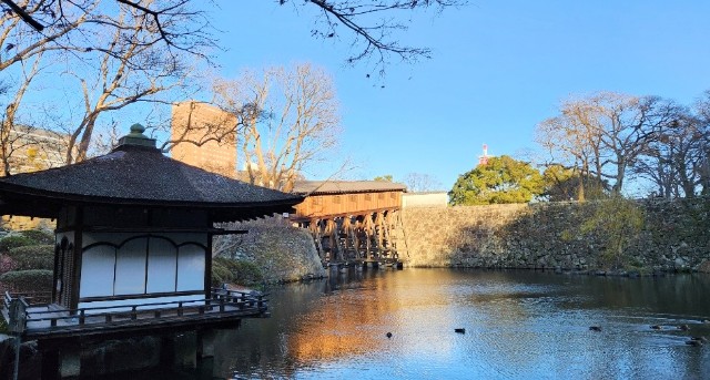 f:id:Hasumuro:20250104132422j:image f:id:Hasumuro:20250104132422j:image