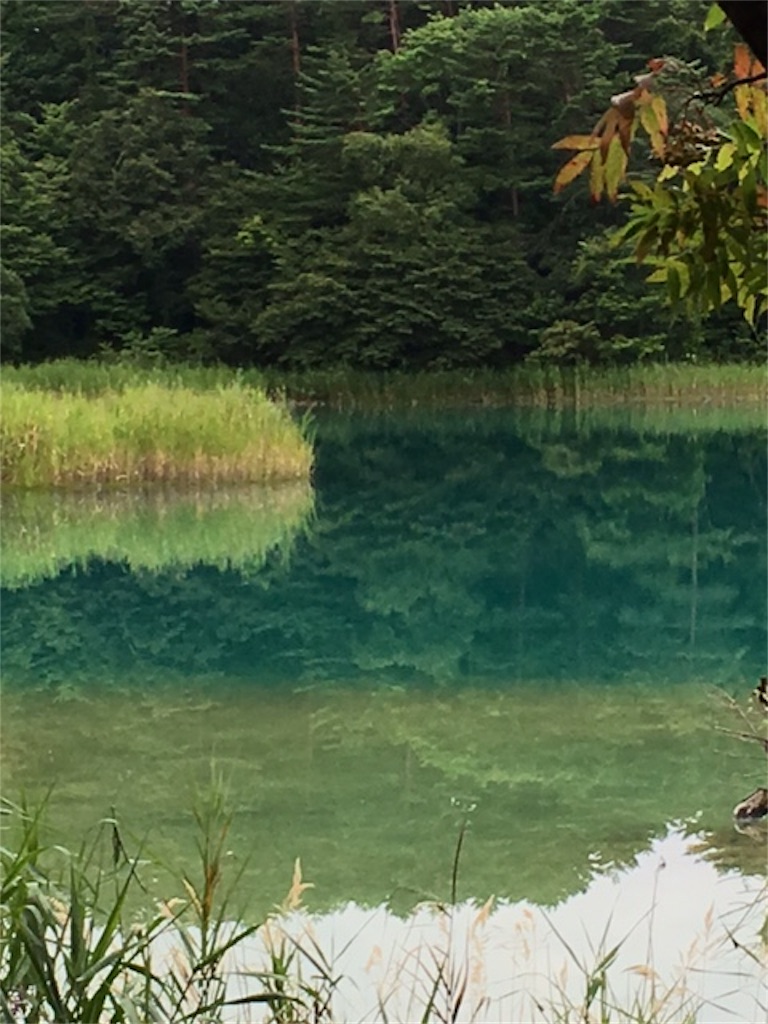 f:id:Hatabou:20170113111026j:image