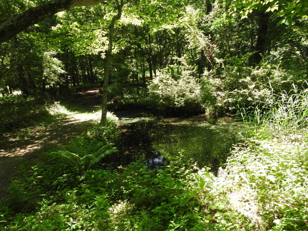 f:id:Hatabou:20170715203917j:plain