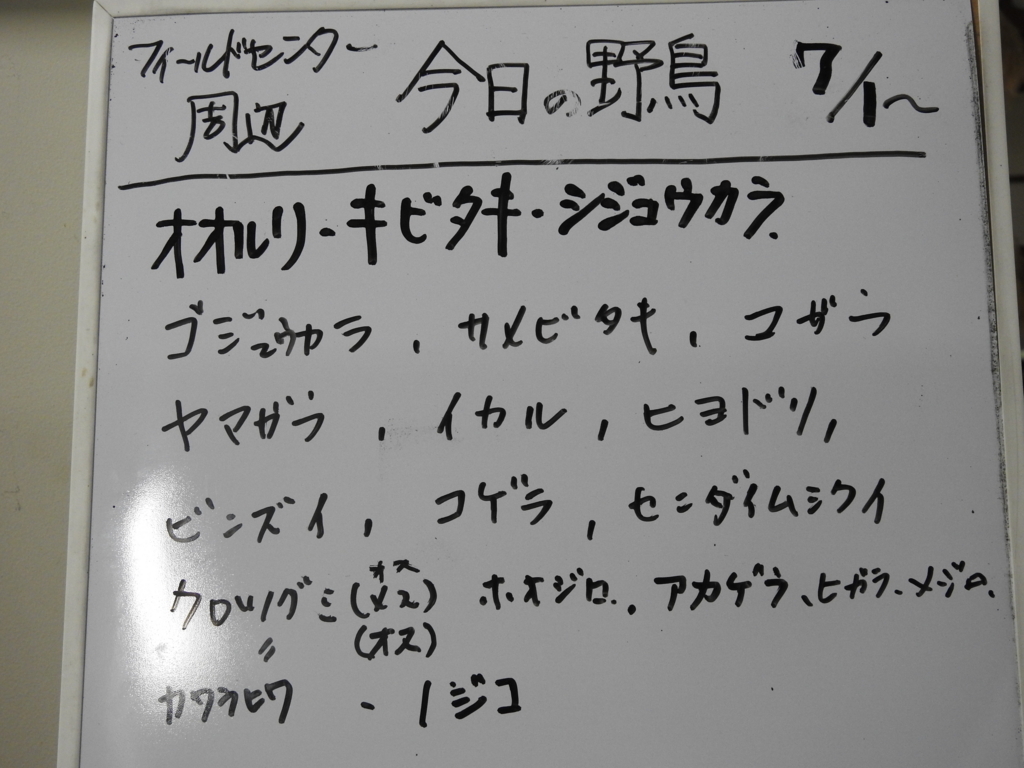 f:id:Hatabou:20170715210847j:plain