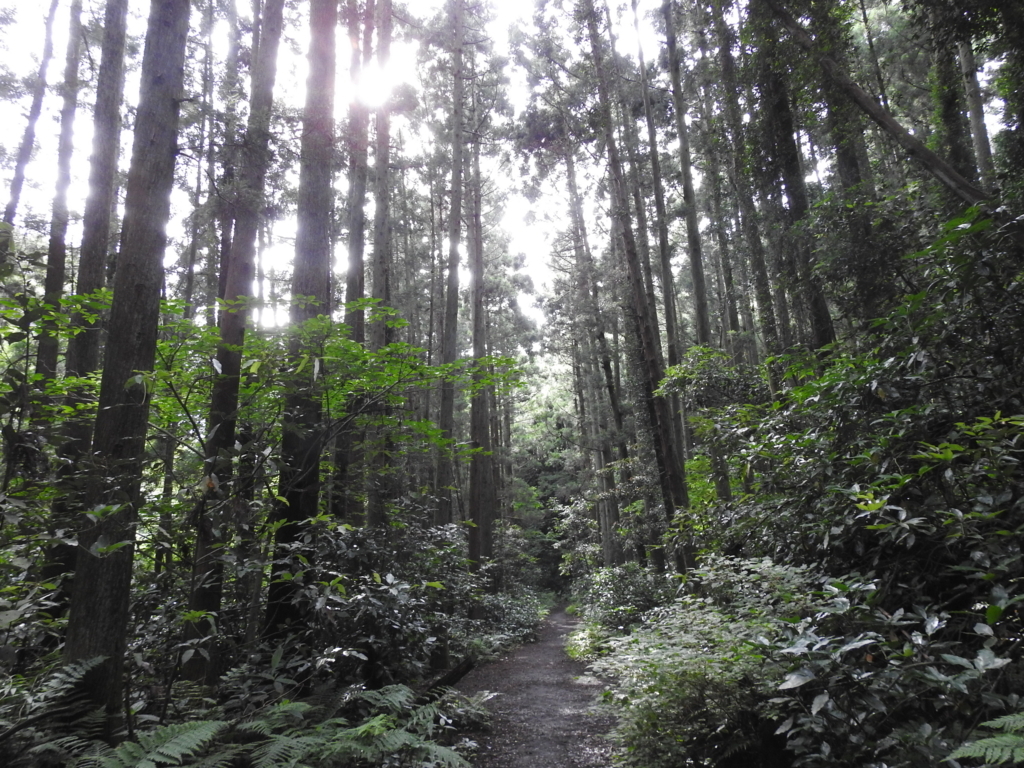 f:id:Hatabou:20170715211758j:plain