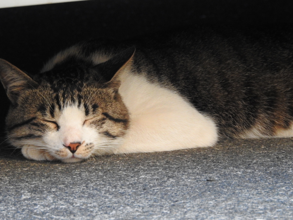 f:id:Hatabou:20170715213227j:plain