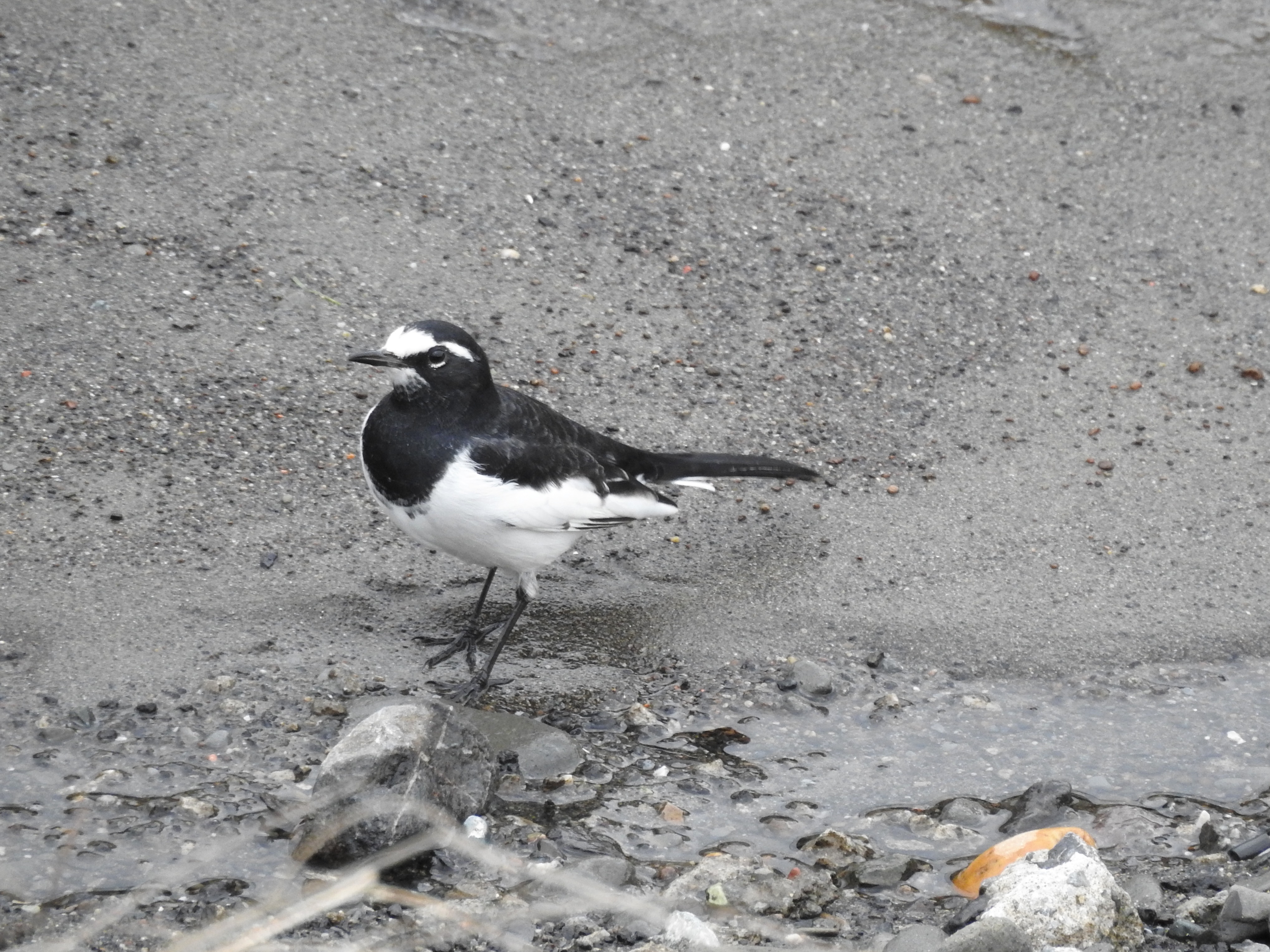 f:id:Hatabou:20171031180651j:plain