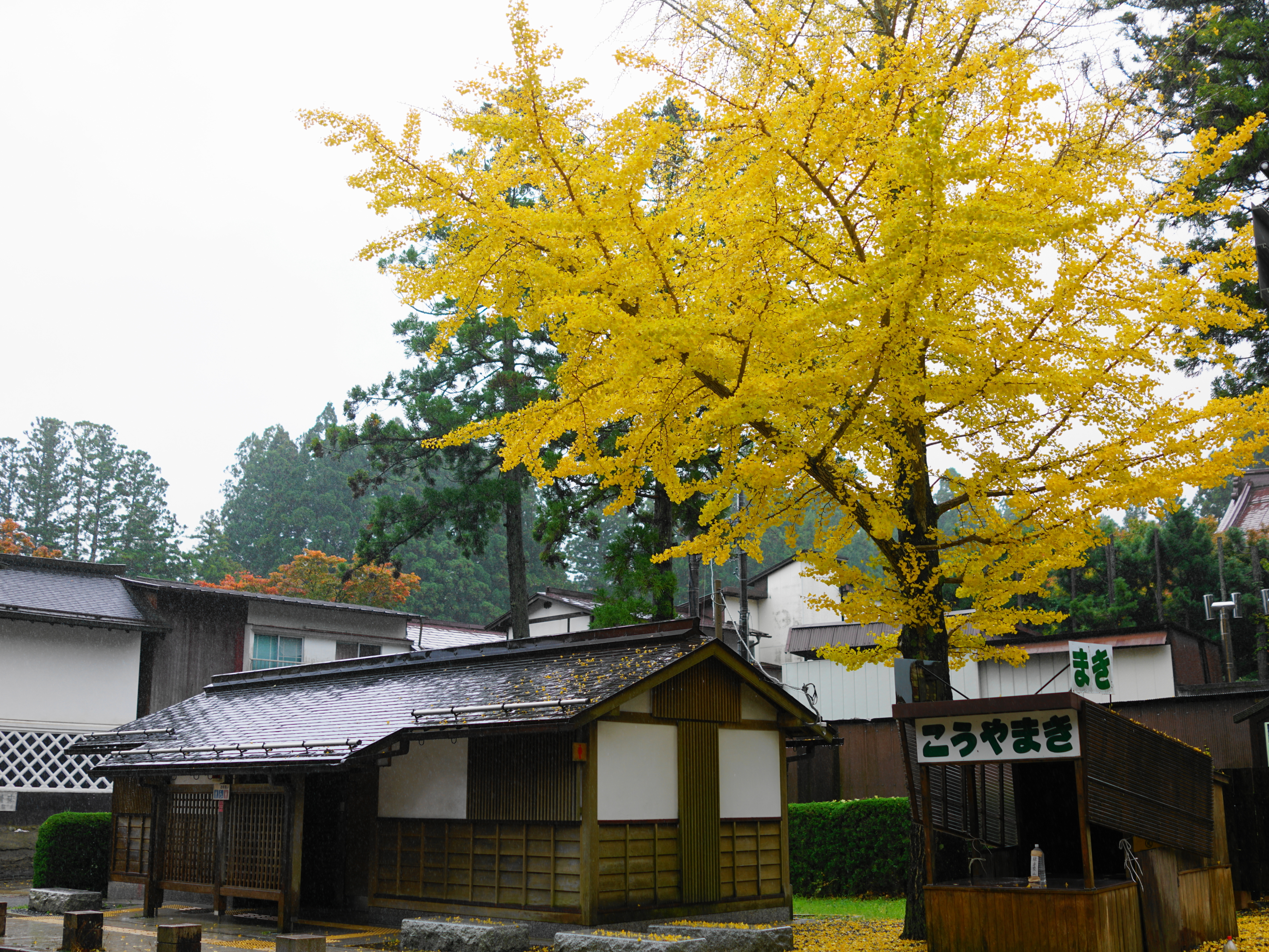 f:id:Hatabou:20171108160418j:plain f:id:Hatabou:20171108160418j:plain