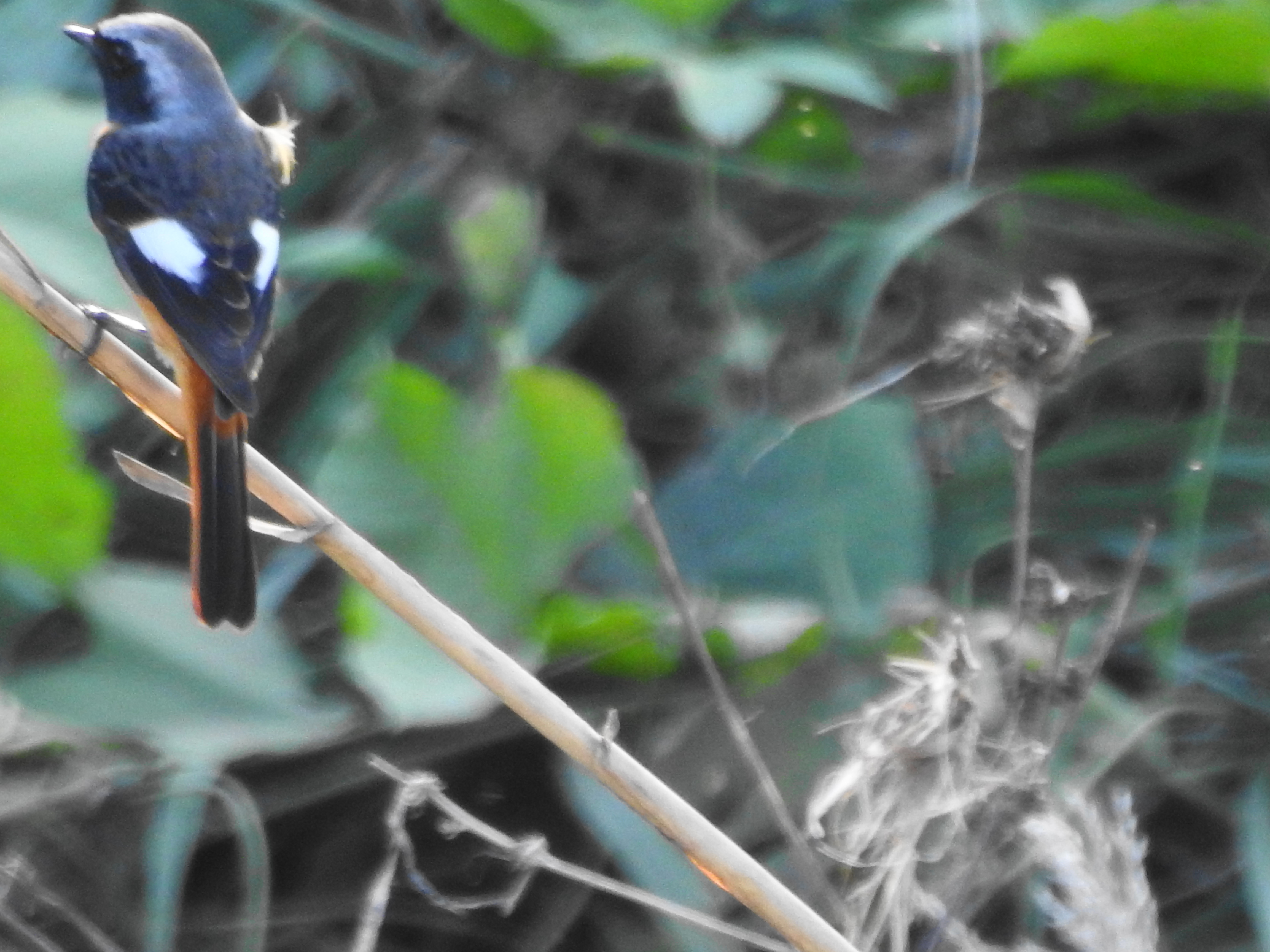 f:id:Hatabou:20171113221752j:plain f:id:Hatabou:20171113221752j:plain