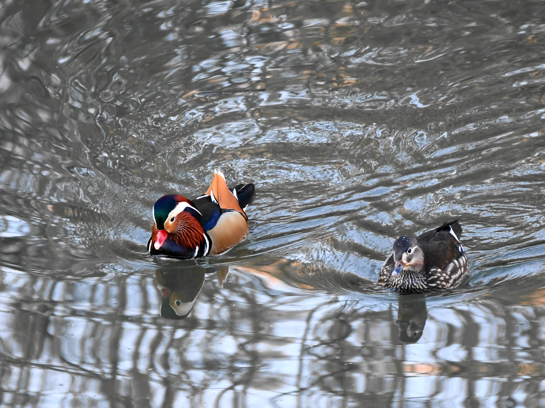 f:id:Hatabou:20171230215037j:plain