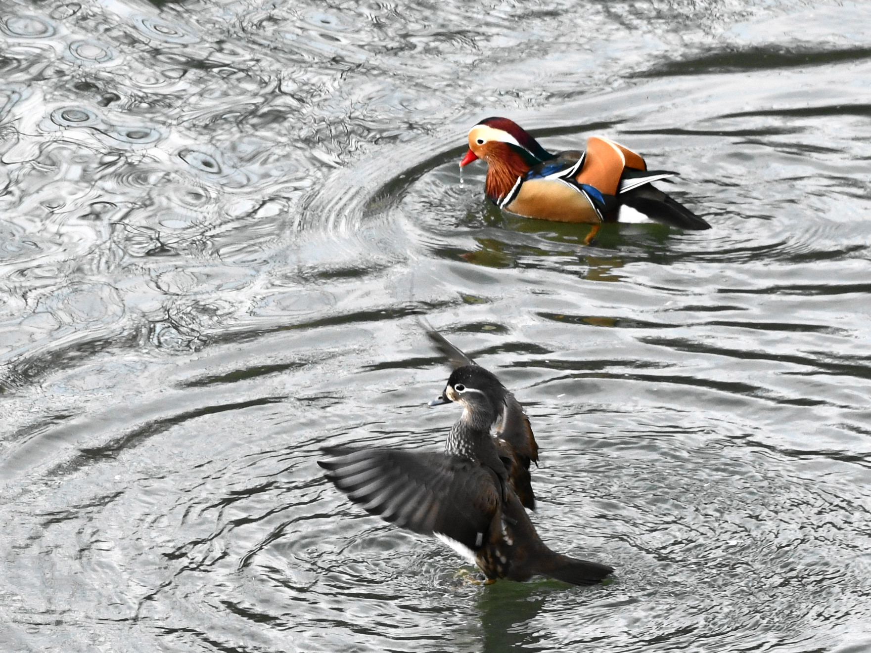 f:id:Hatabou:20171230221133j:plain