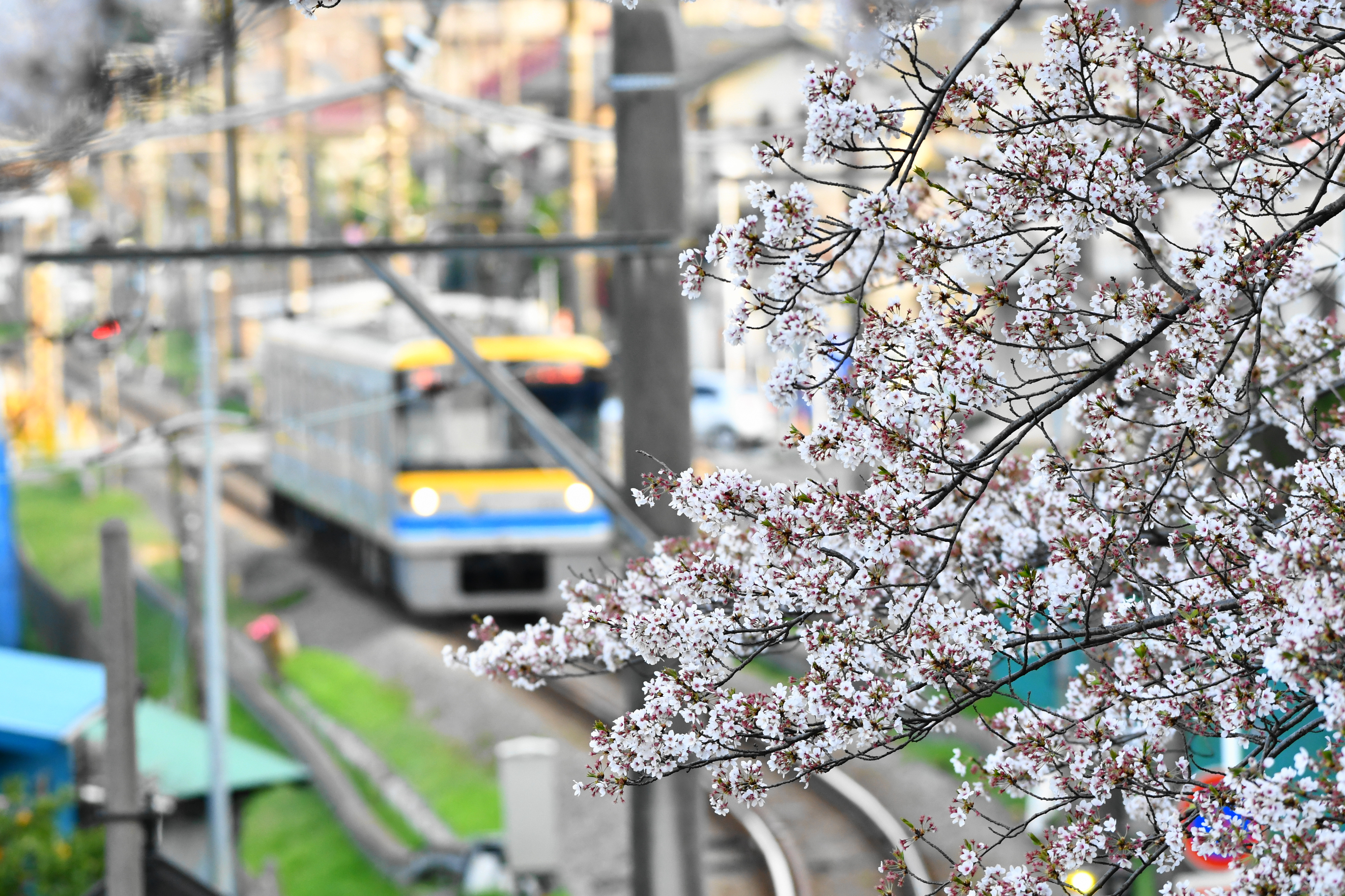 f:id:Hatabou:20180401082714j:plain