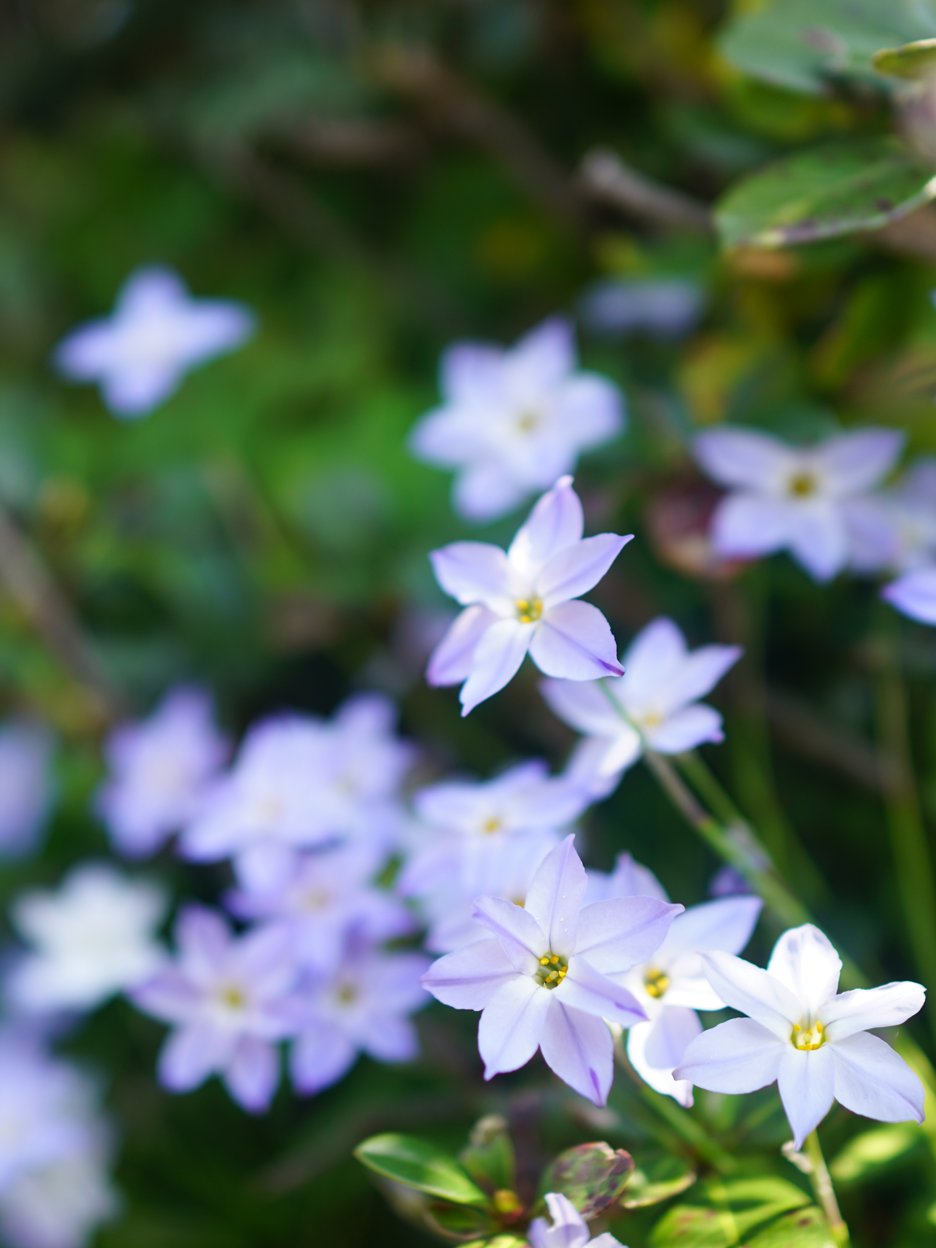 f:id:Hatabou:20180406224826j:plain