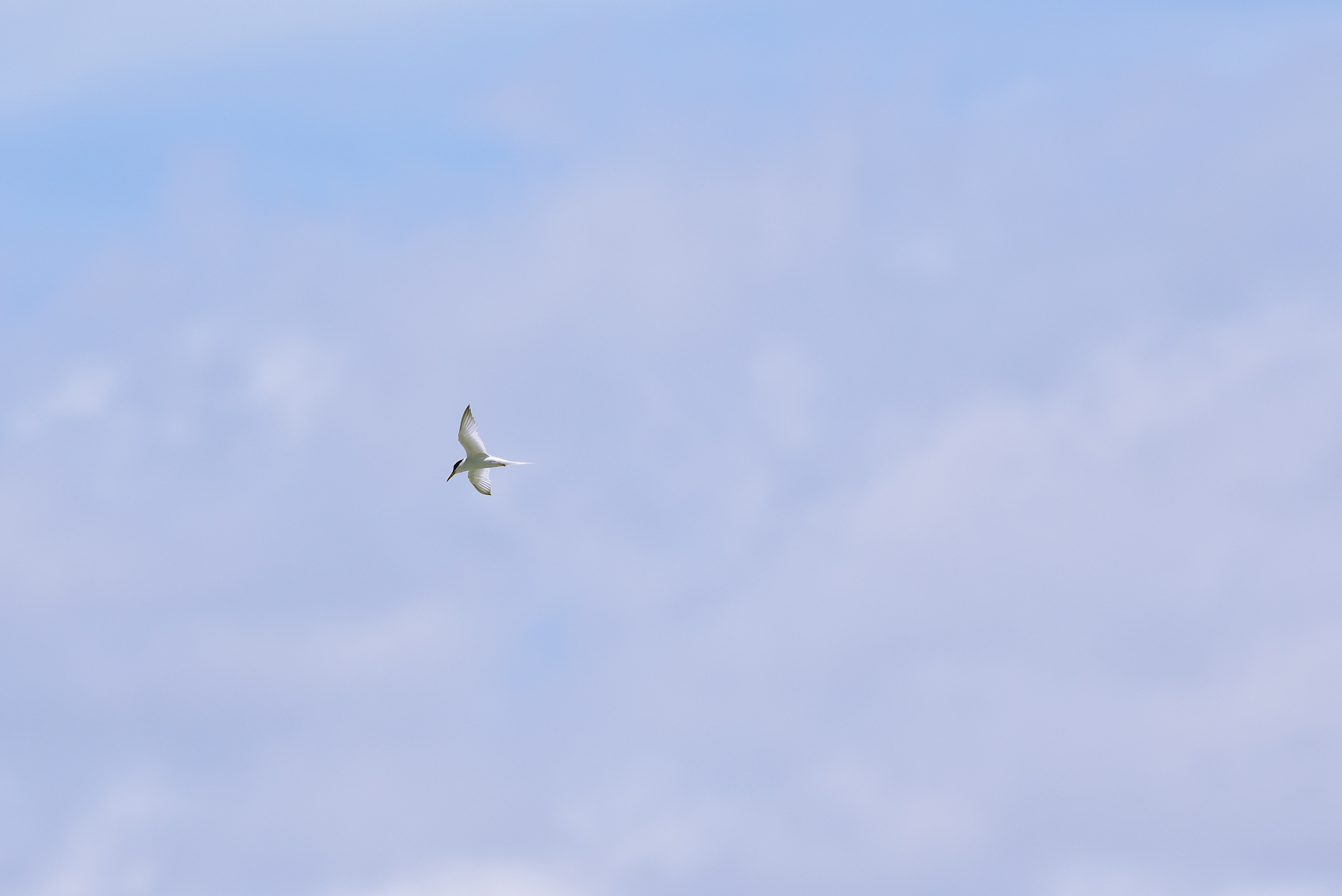 f:id:Hatabou:20180702215143j:plain