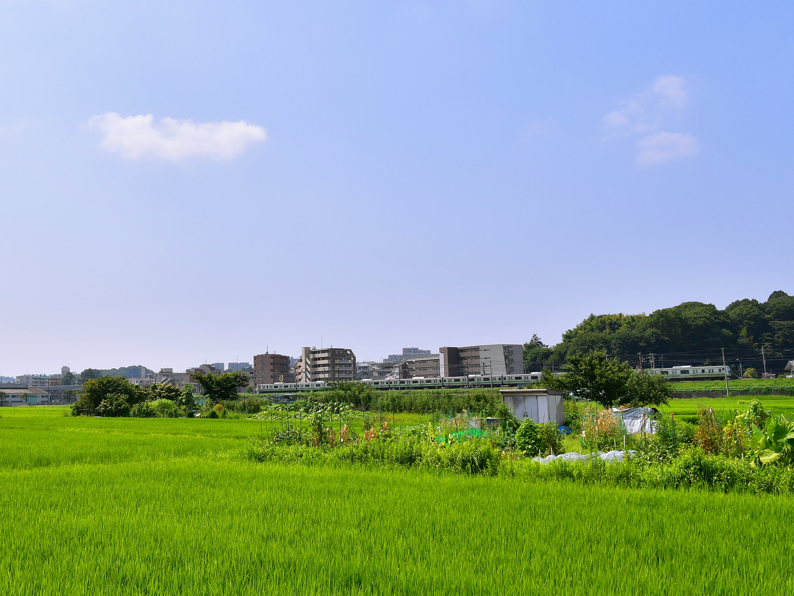 f:id:Hatabou:20180814211751j:plain