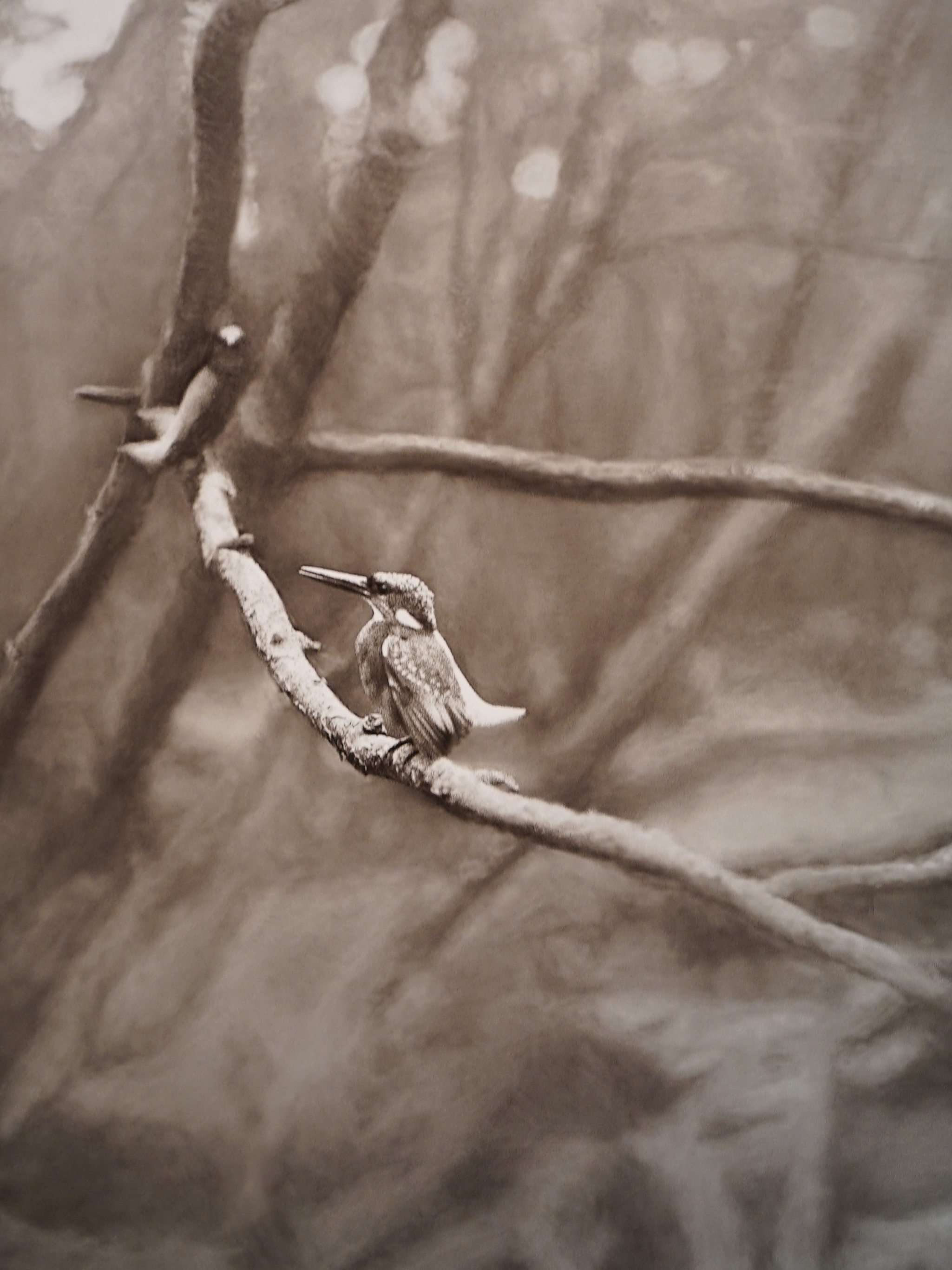 f:id:Hatabou:20180921163201j:plain