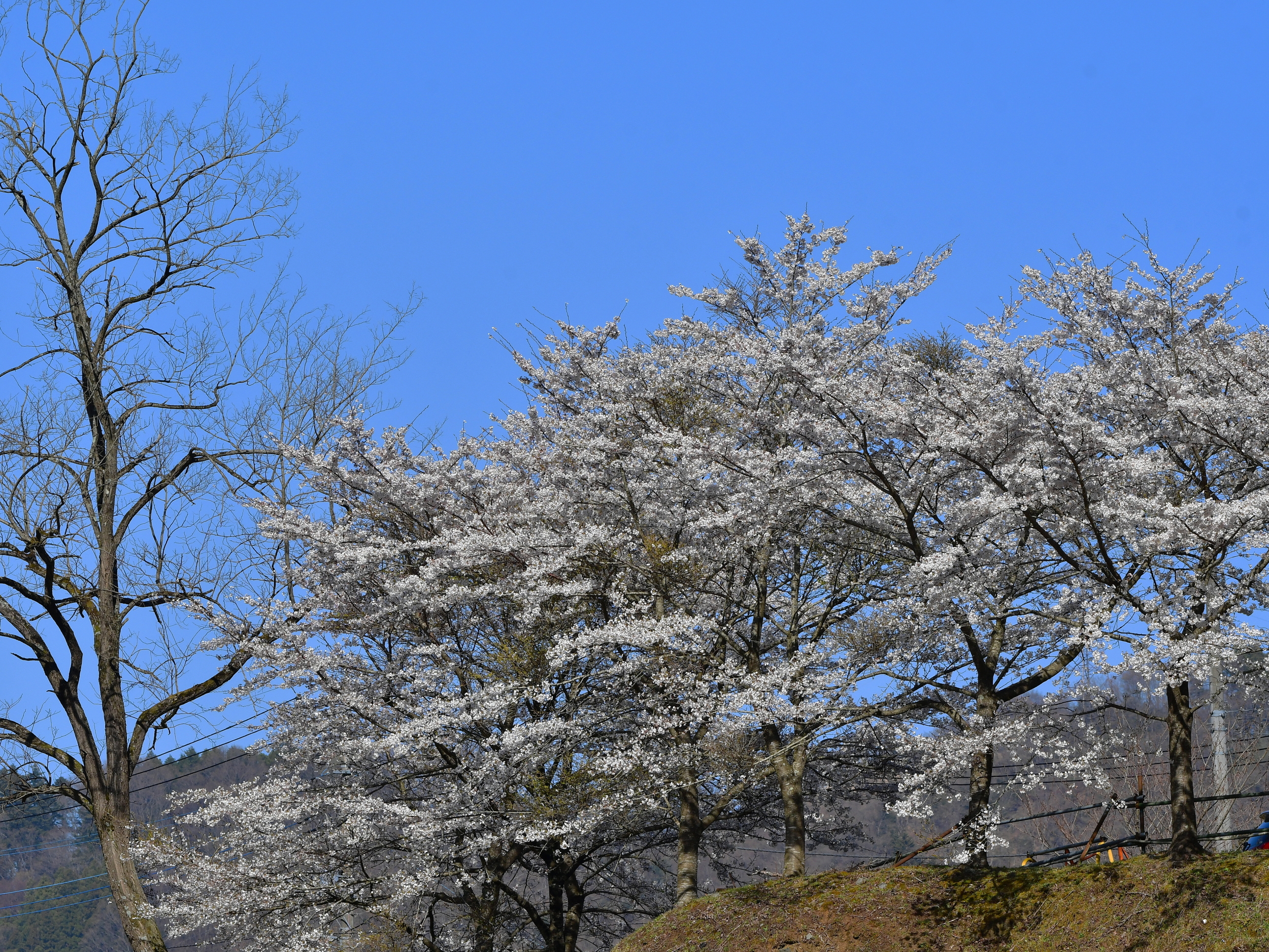f:id:Hatabou:20190412230538j:plain
