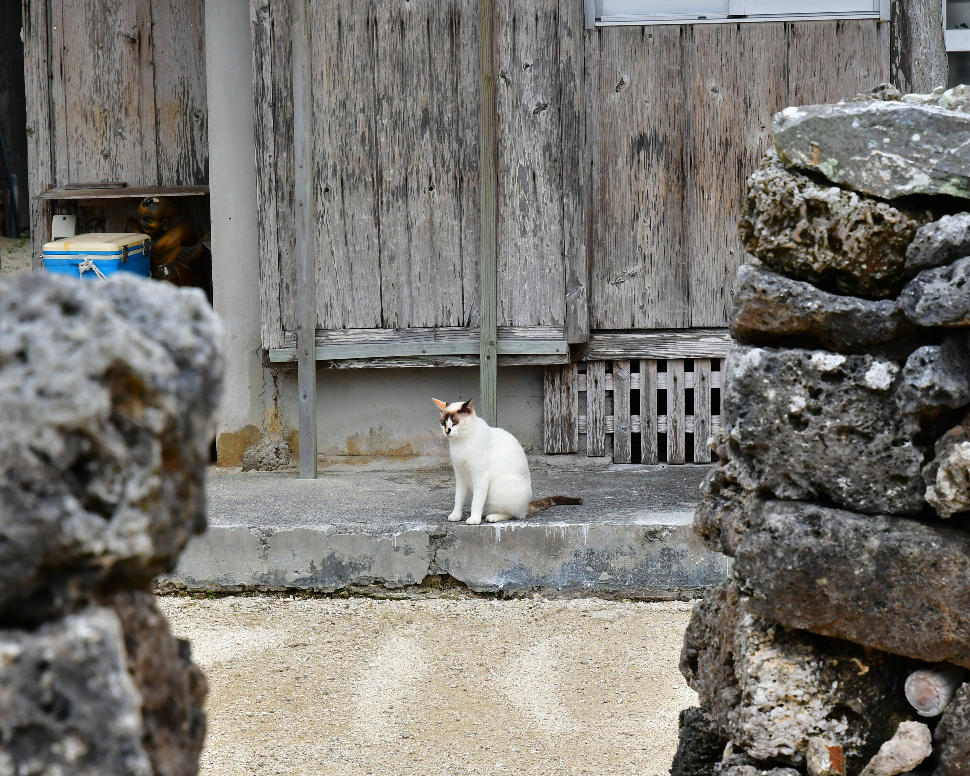 f:id:Hatabou:20190503060923j:plain