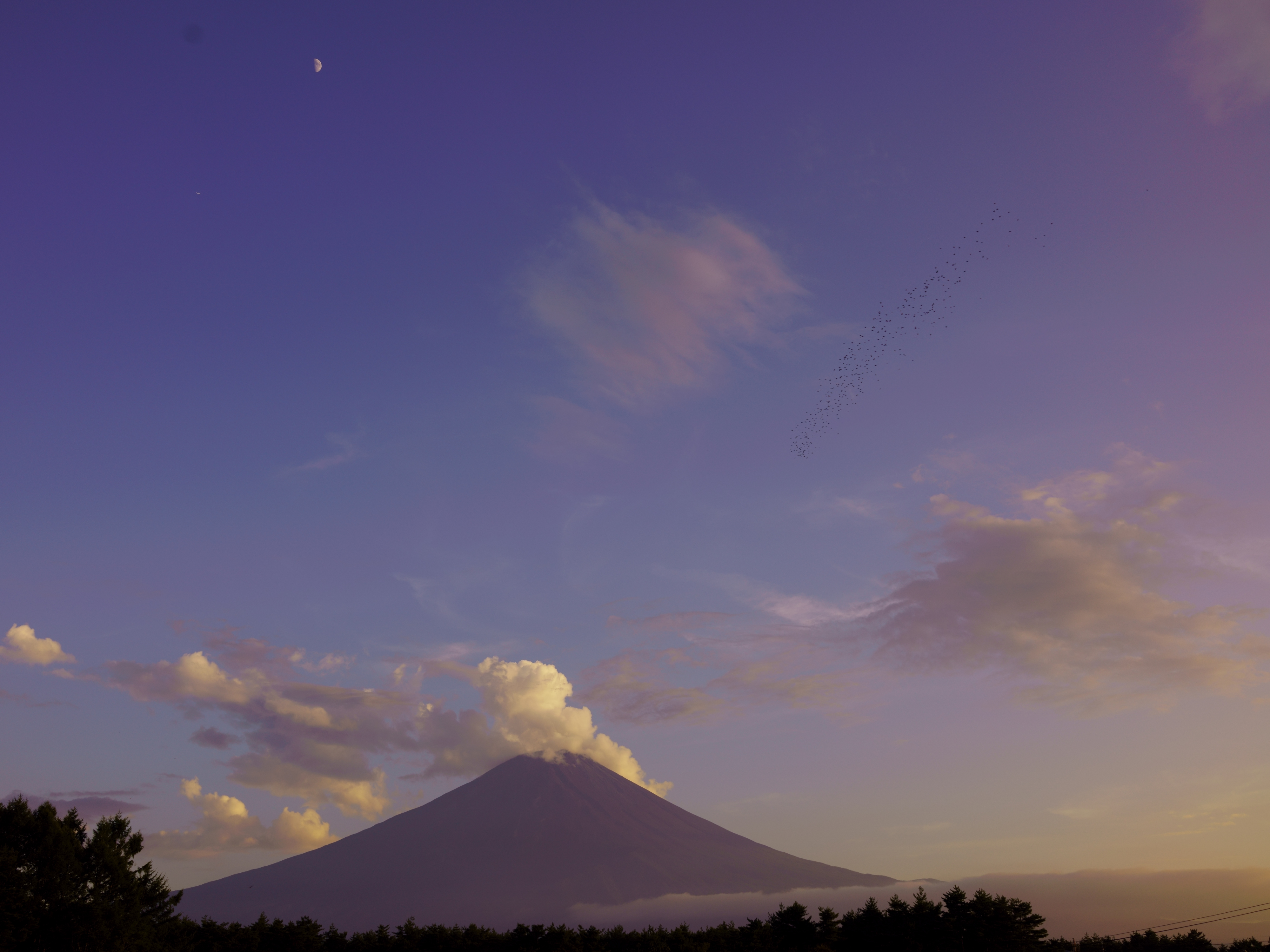f:id:Hatabou:20190816222538j:plain