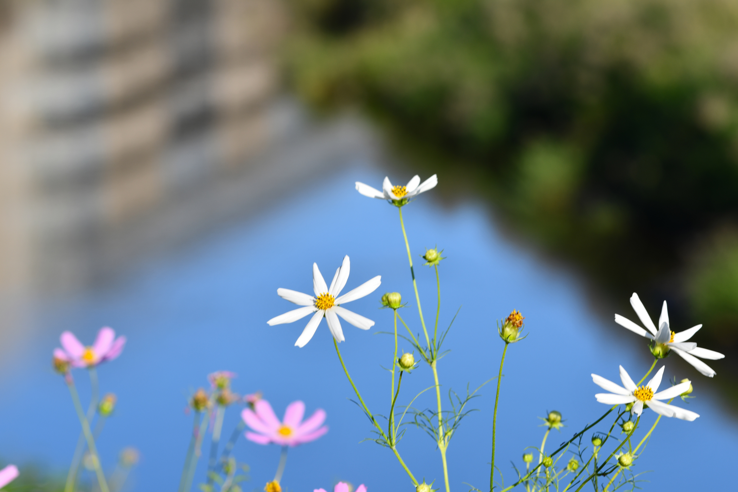 f:id:Hatabou:20191011224450j:plain