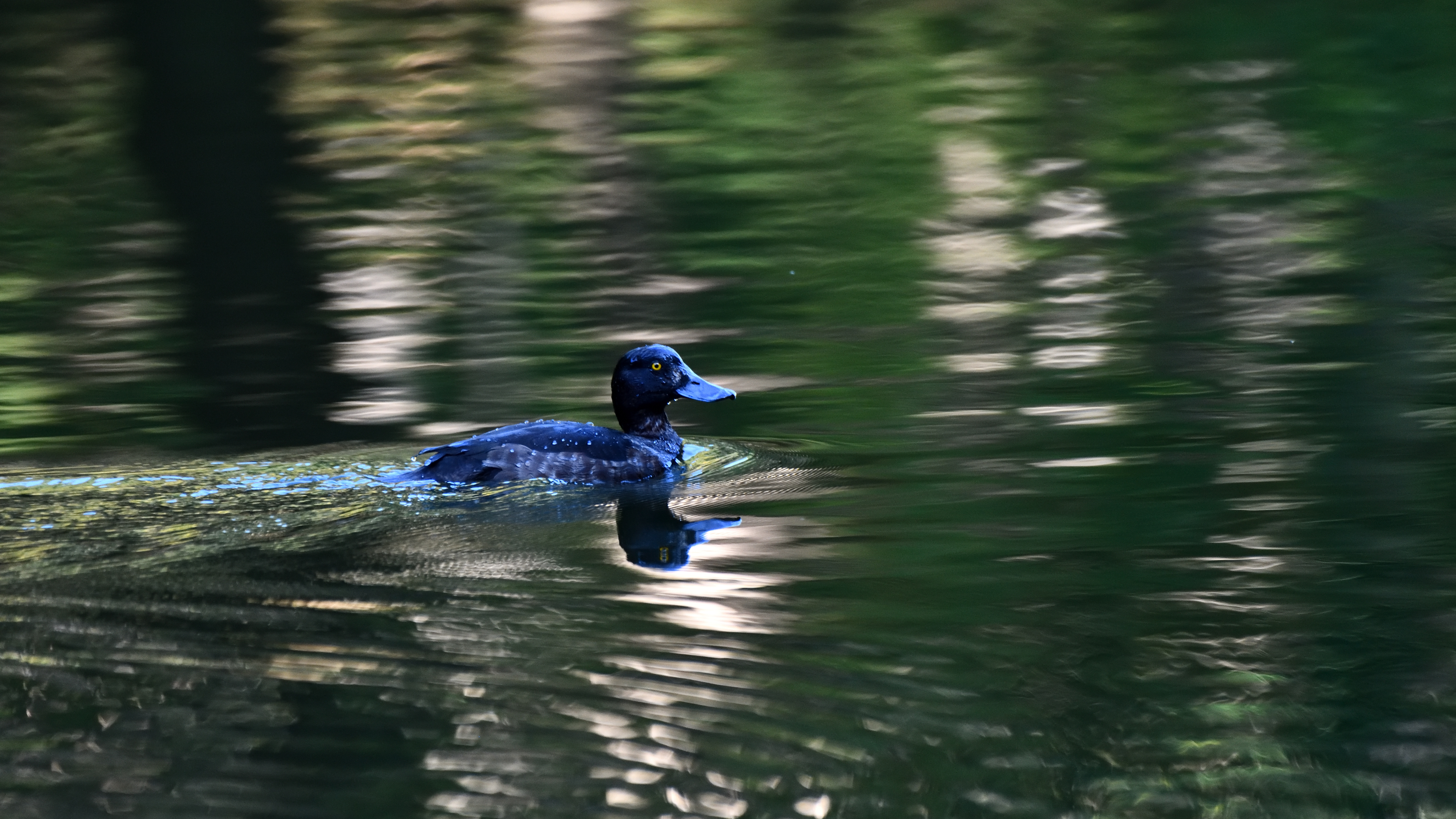 f:id:Hatabou:20191103211723j:plain