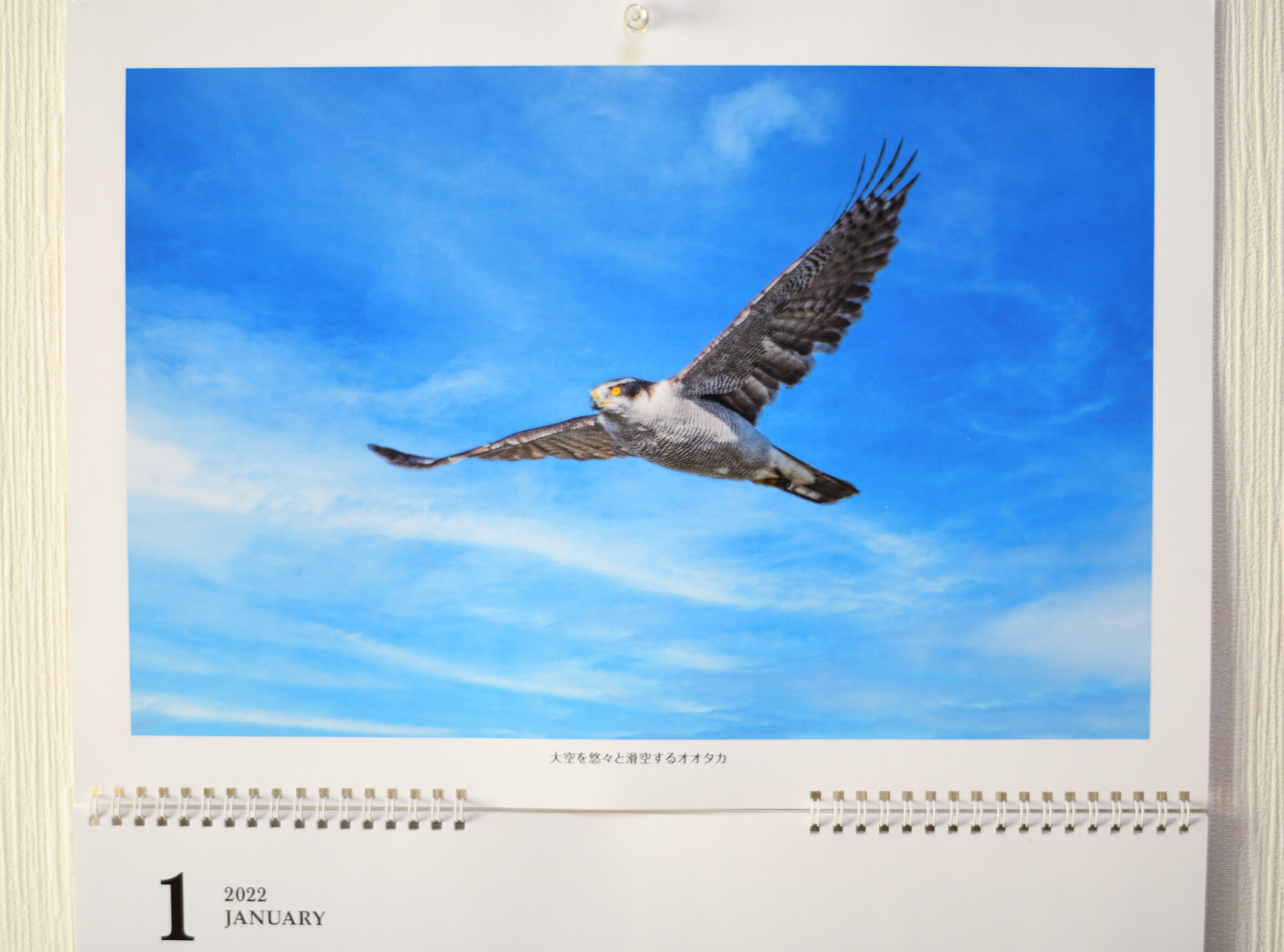 f:id:Hatabou:20211226131608j:plain