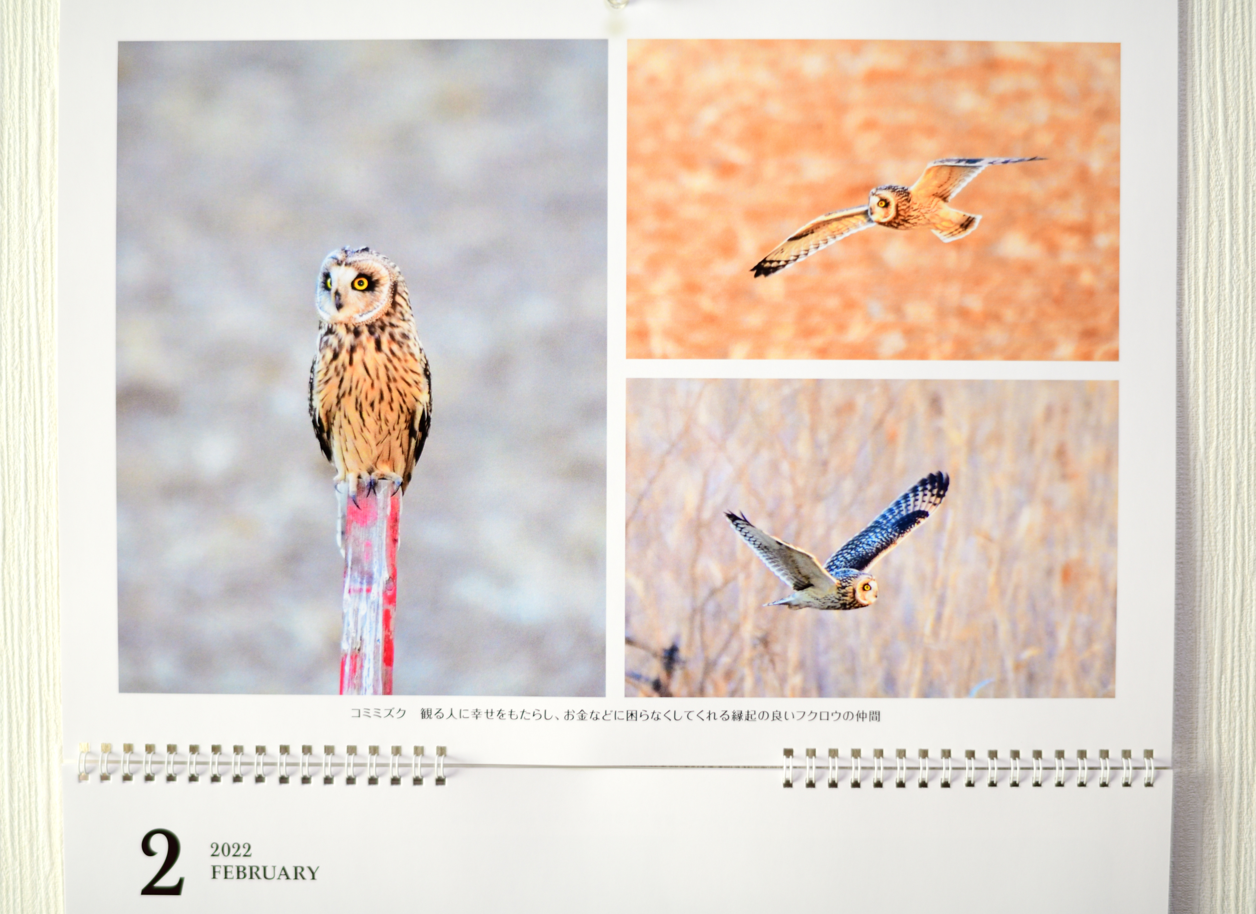 f:id:Hatabou:20211226131926j:plain