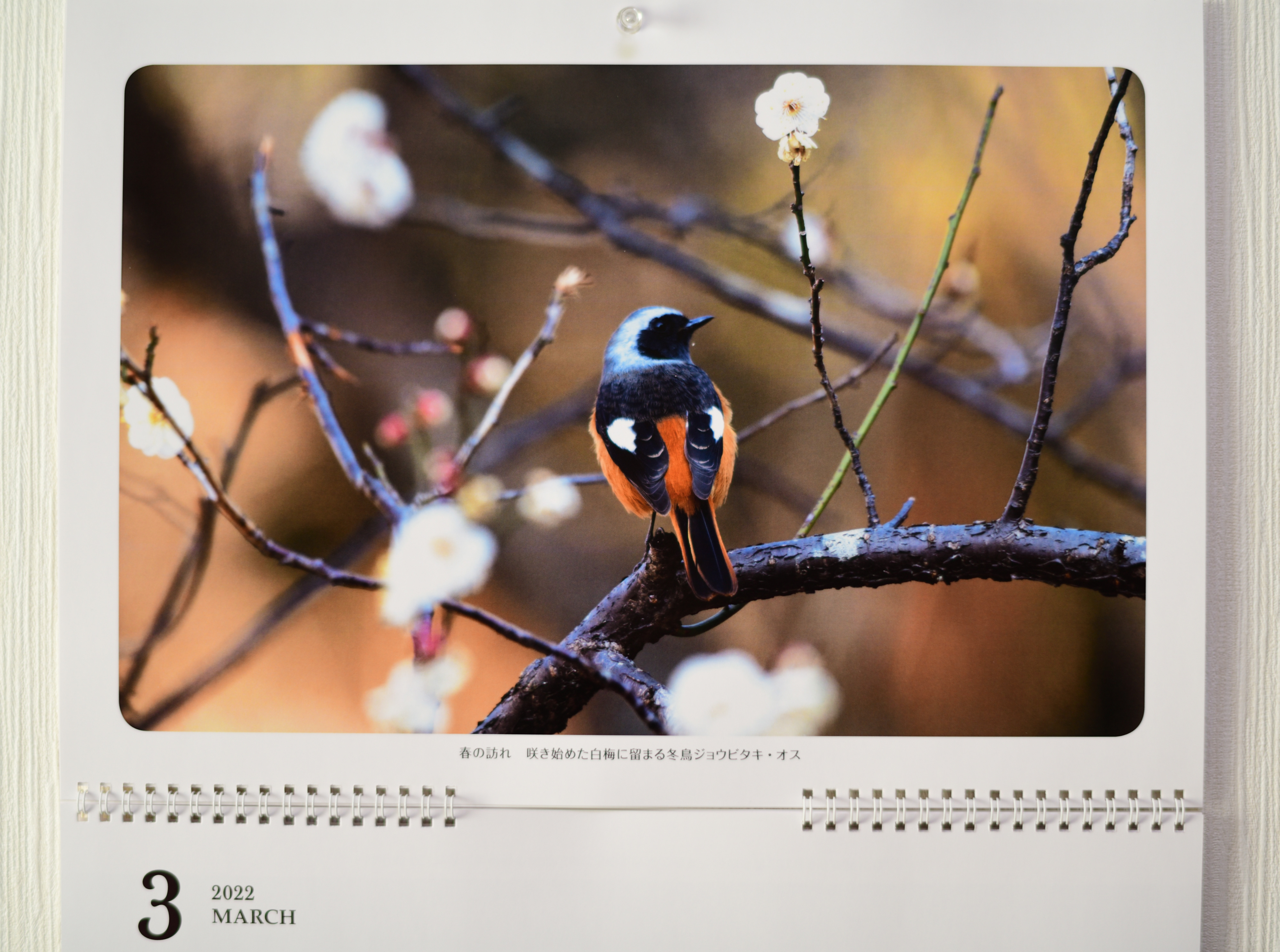 f:id:Hatabou:20211226131952j:plain