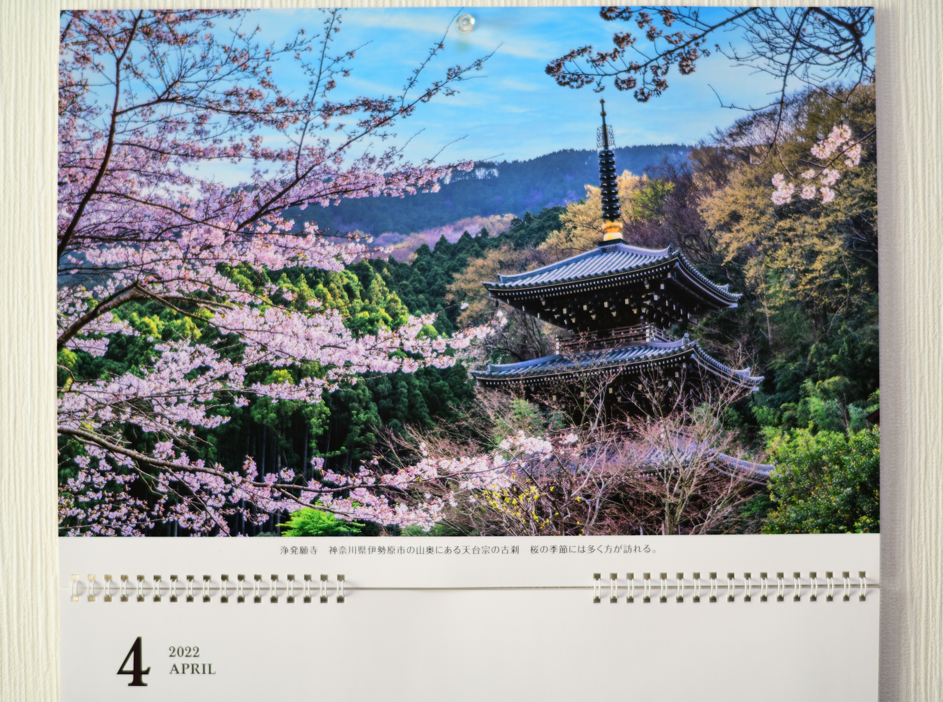 f:id:Hatabou:20211226132100j:plain