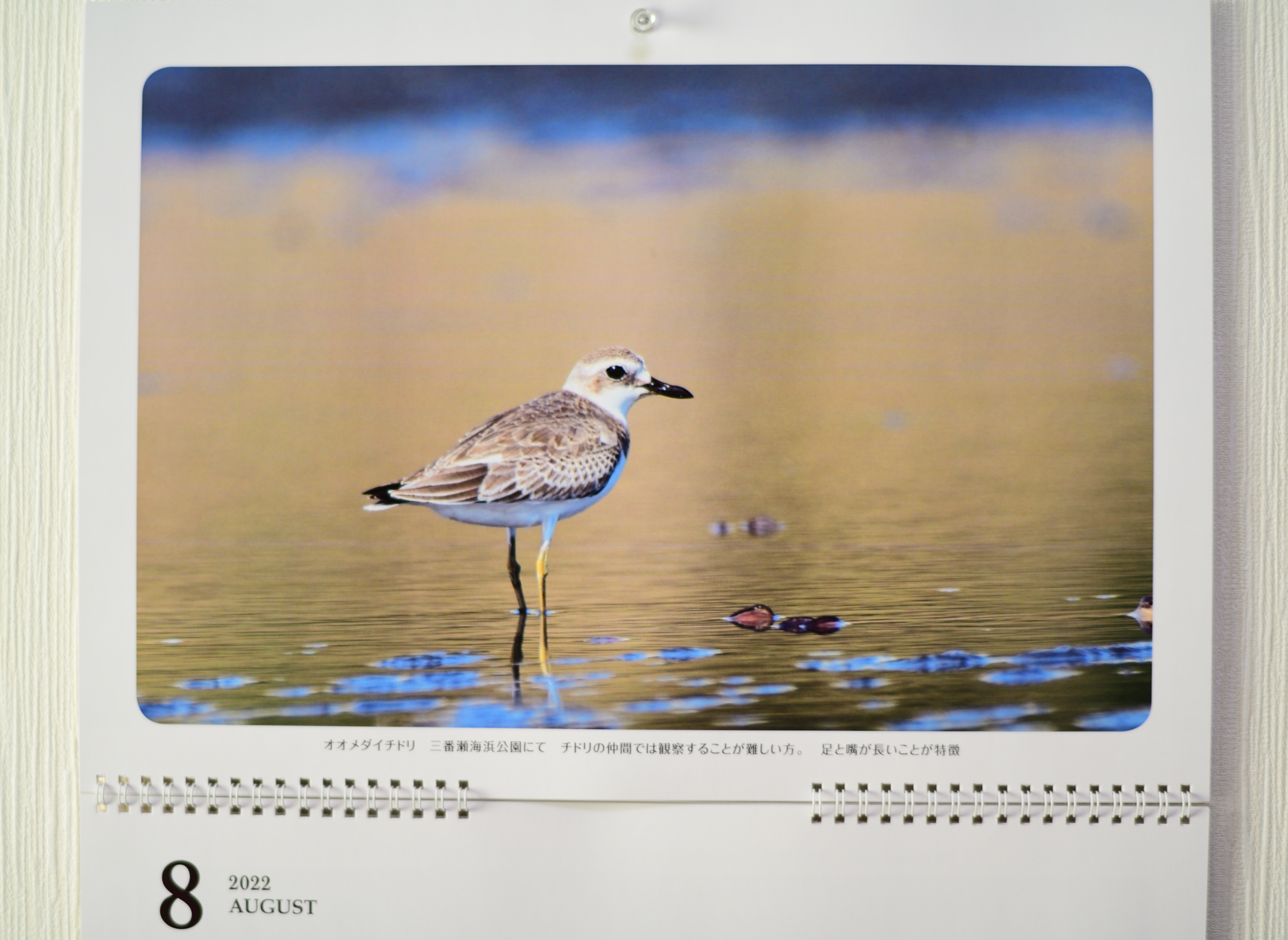 f:id:Hatabou:20211226132638j:plain