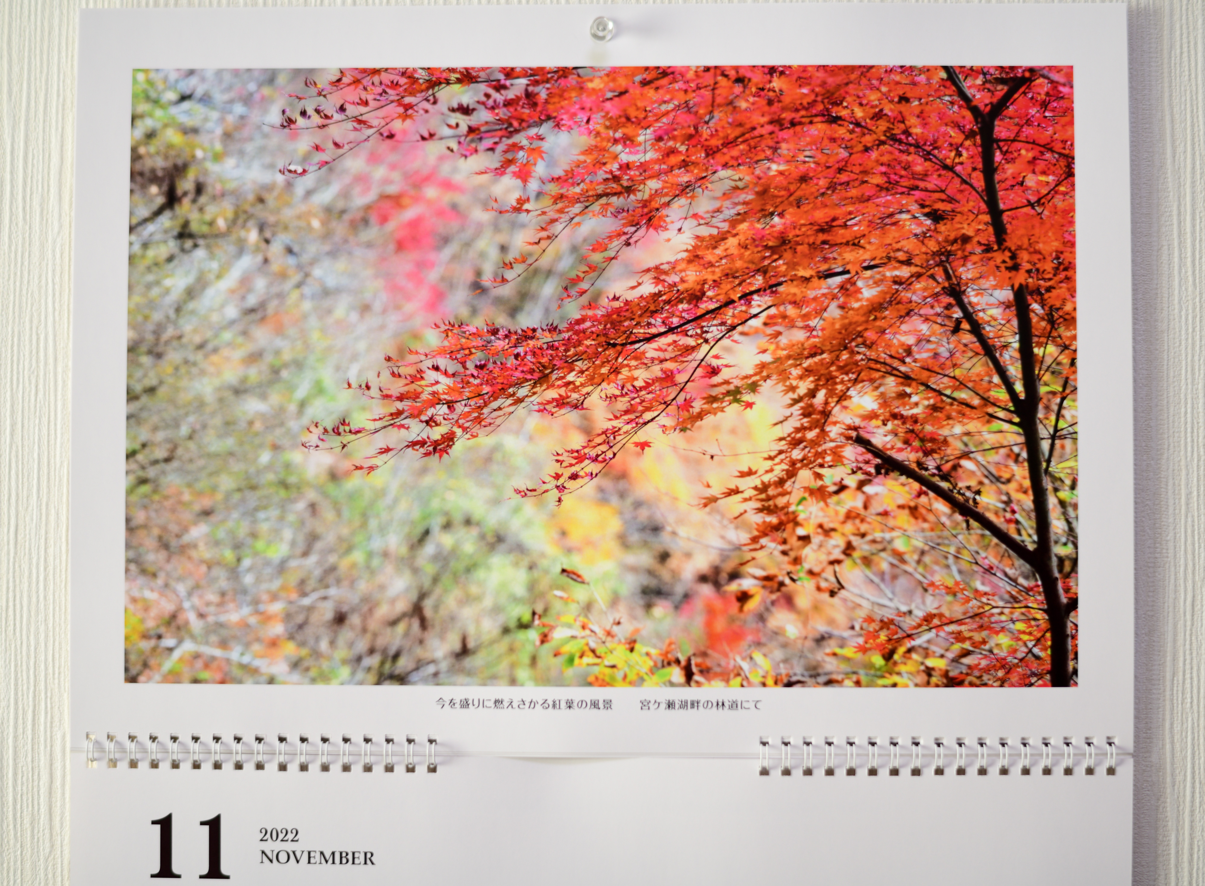 f:id:Hatabou:20211226132739j:plain