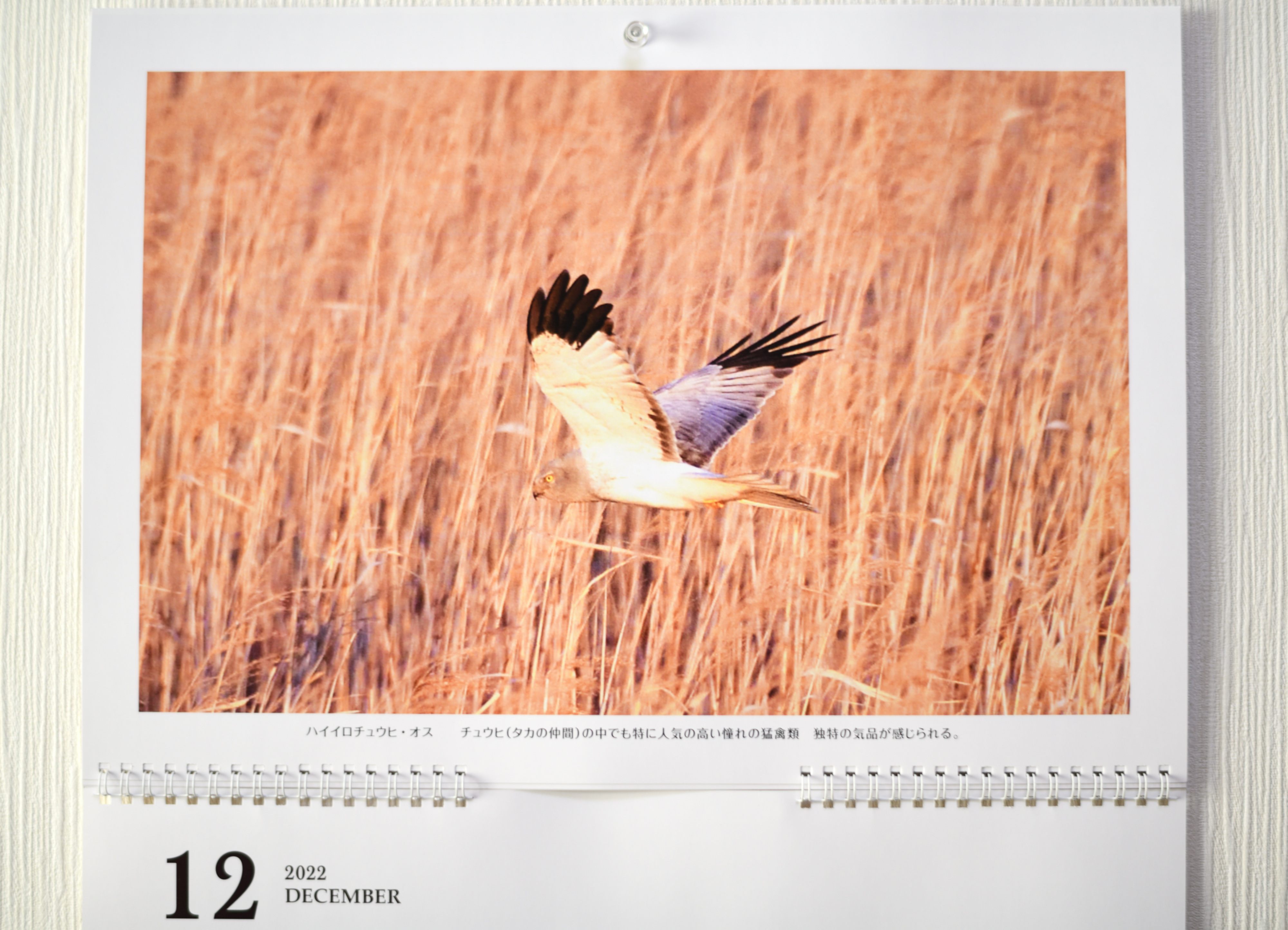 f:id:Hatabou:20211226132800j:plain