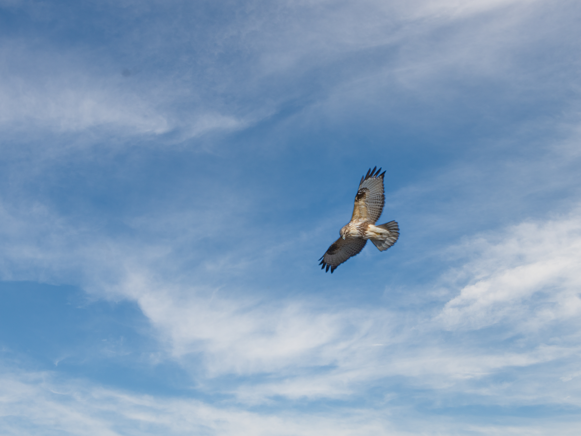 f:id:Hatabou:20220127145945j:plain