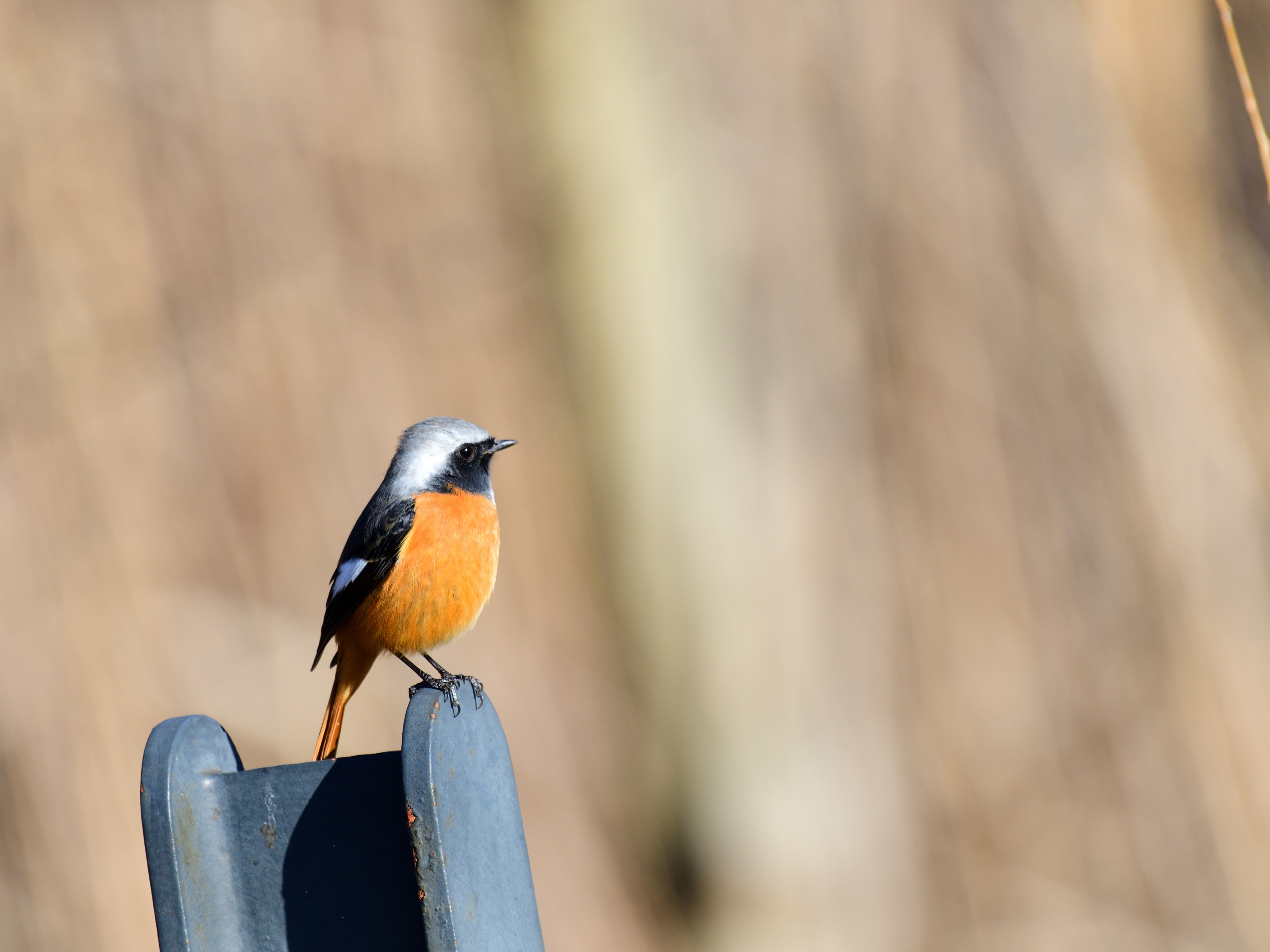 f:id:Hatabou:20220127150052j:plain