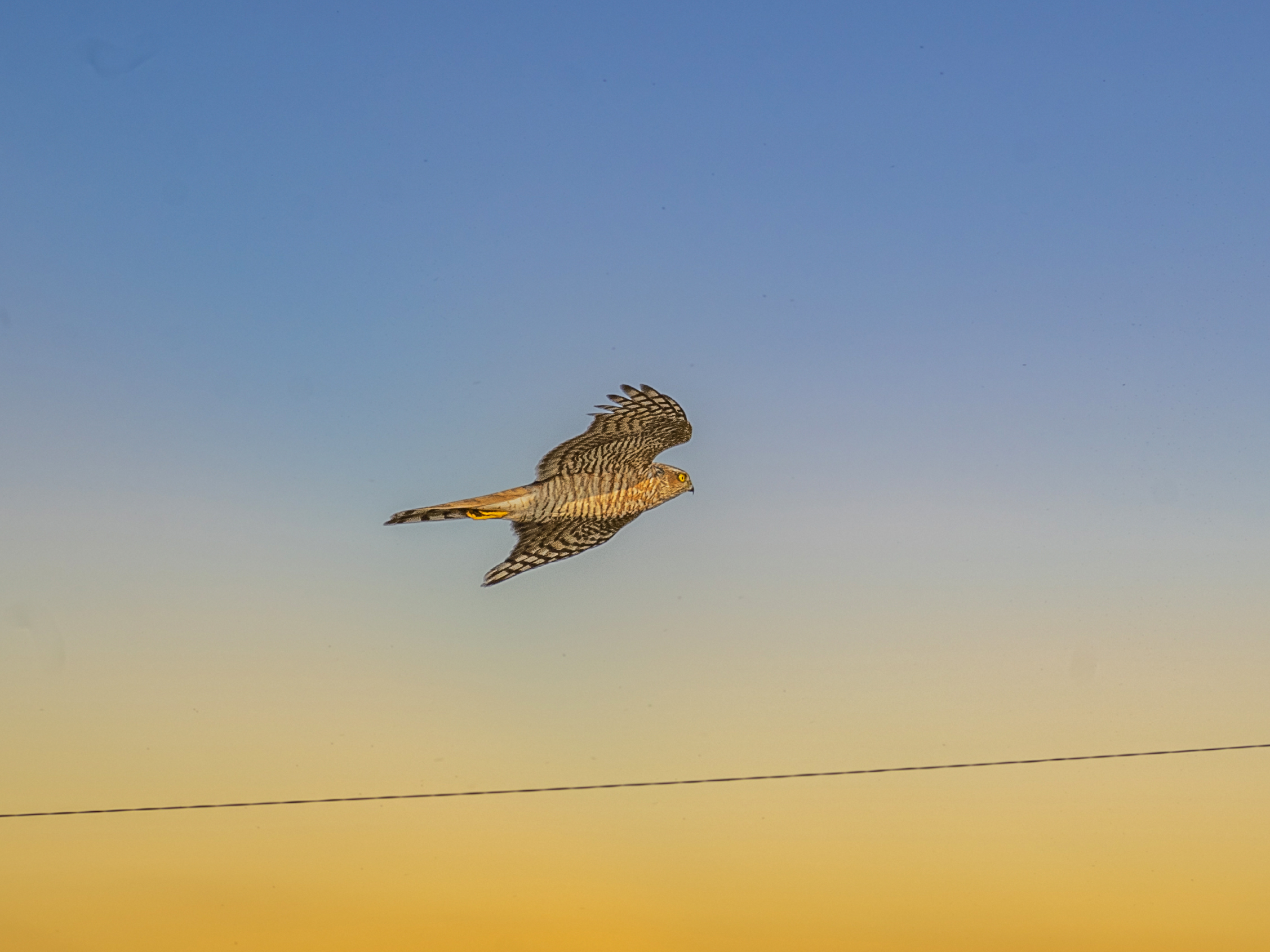 f:id:Hatabou:20220127151029j:plain