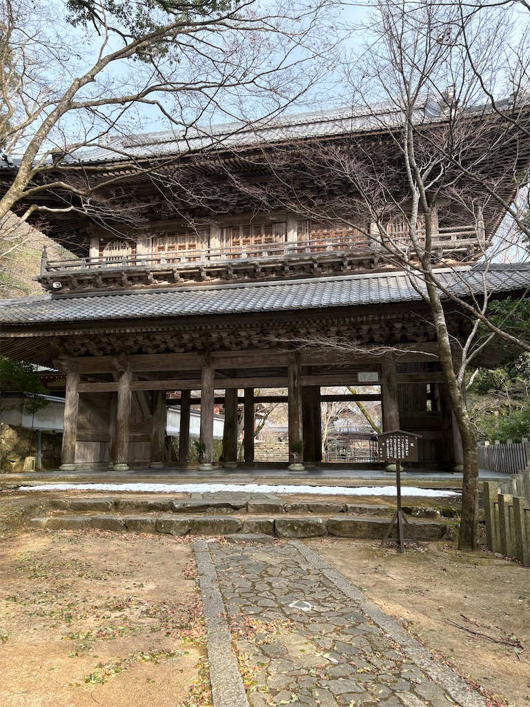 f:id:HatanoTsukasa:20250119144321j:image