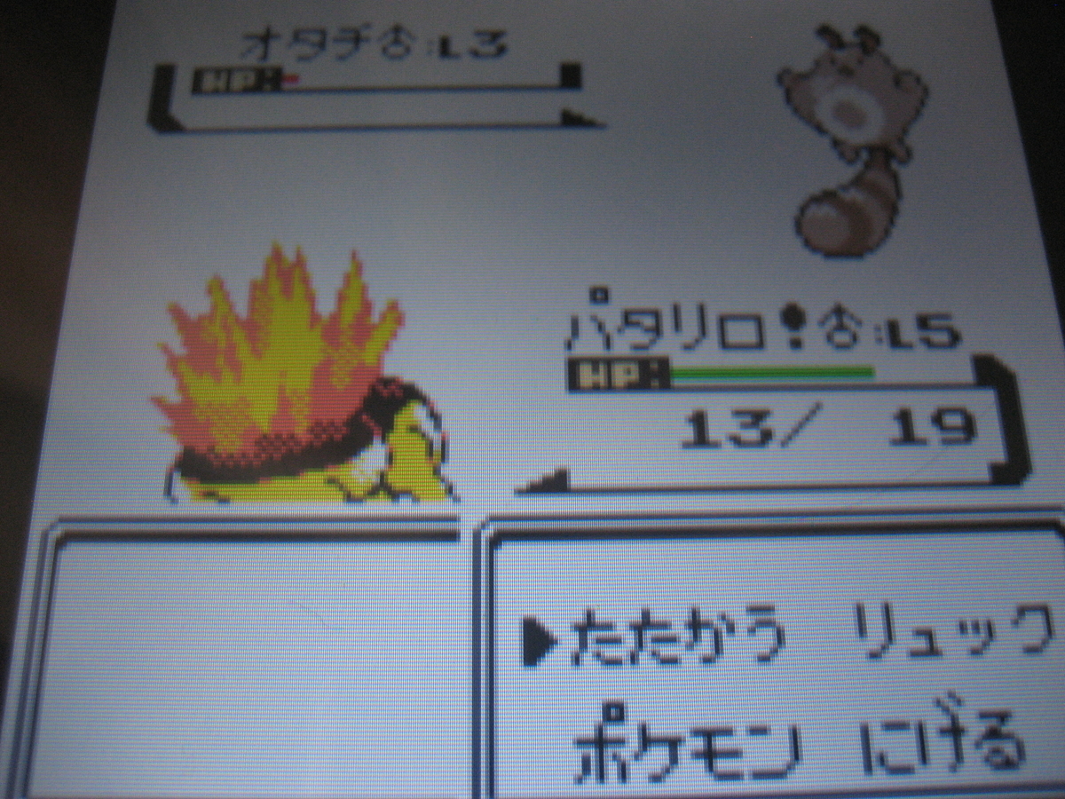 金銀 旅パ イメージポケモンコレクション