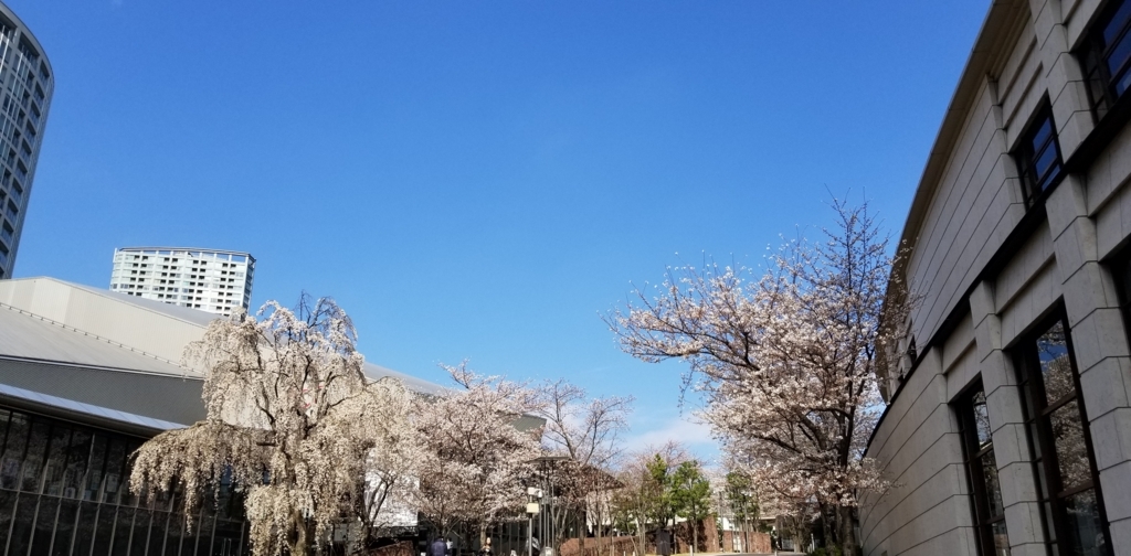 f:id:HatensHiryoaim40:20180325074613j:plain f:id:HatensHiryoaim40:20180325074613j:plain