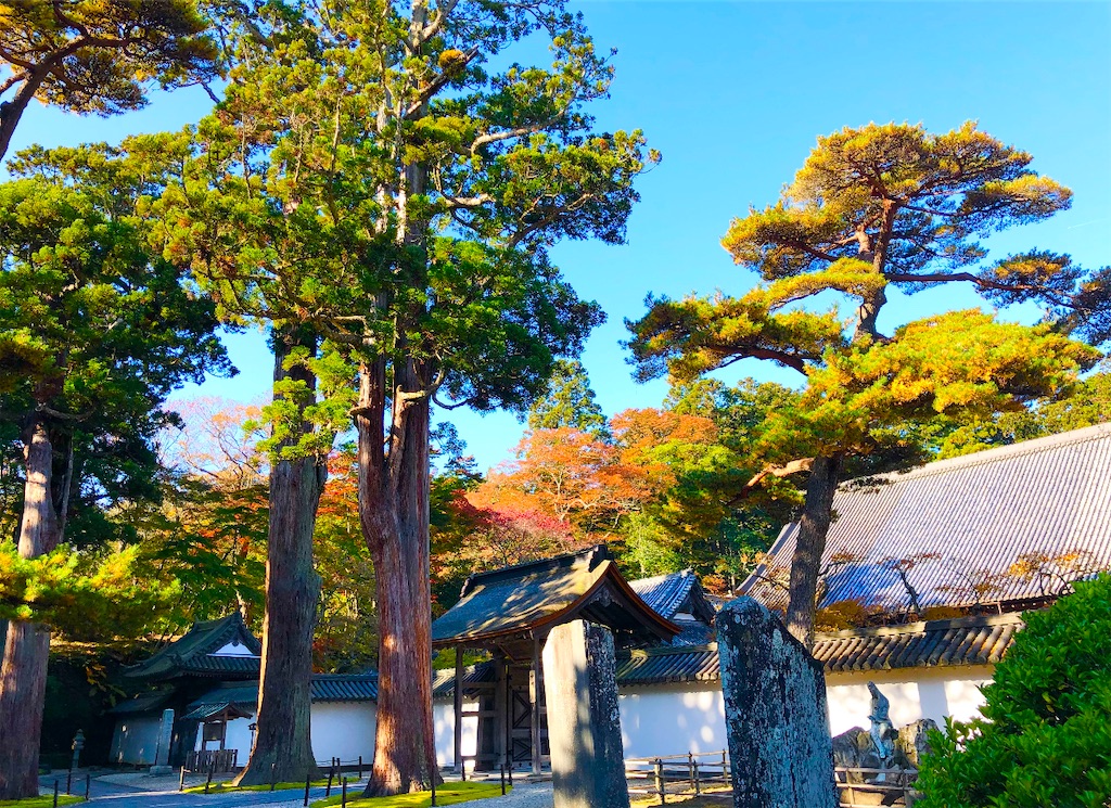 f:id:Hato1972:20220301101715j:image f:id:Hato1972:20220301101715j:image