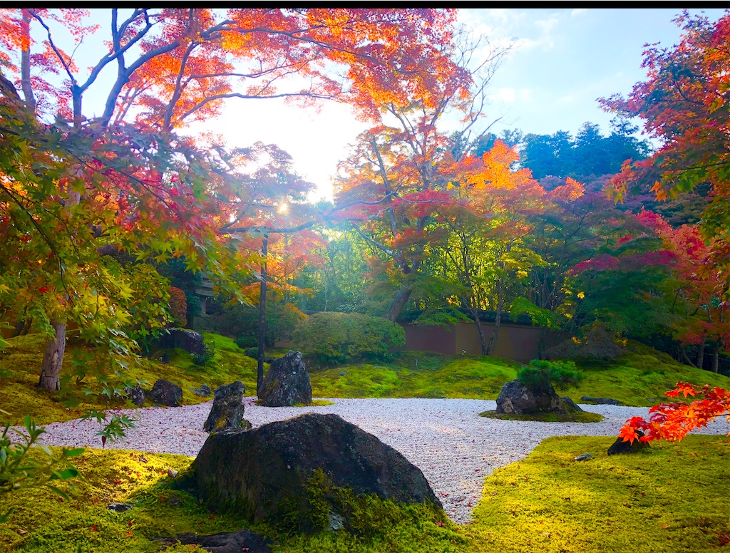 f:id:Hato1972:20220301101758j:image f:id:Hato1972:20220301101758j:image