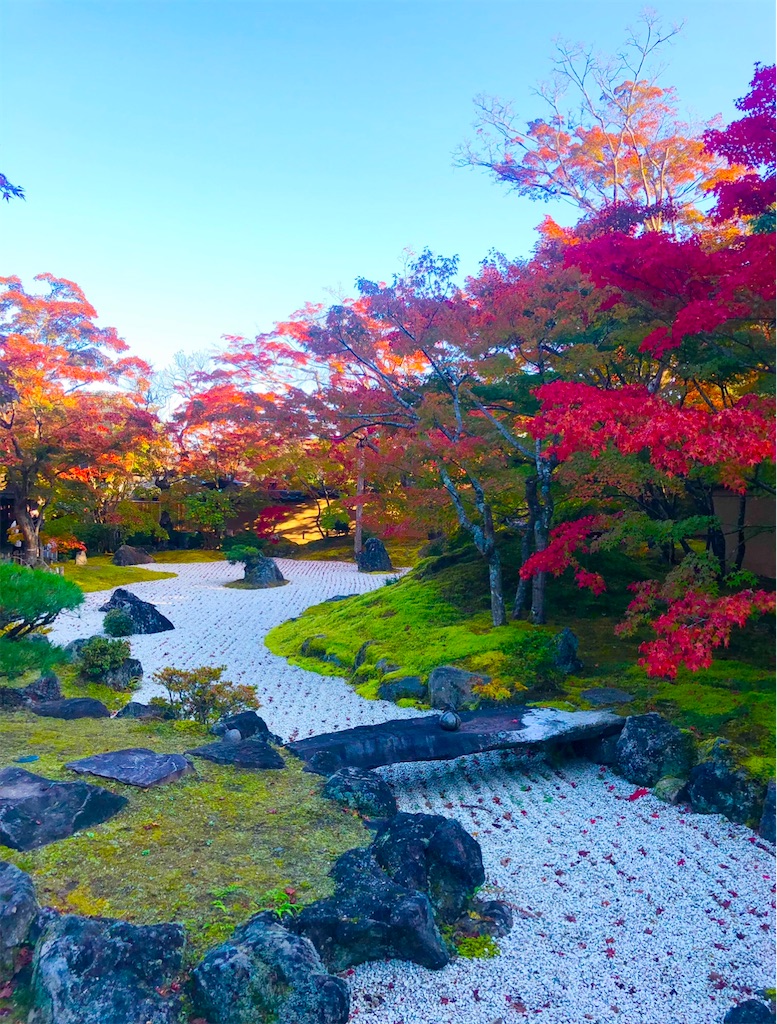 f:id:Hato1972:20220301101811j:image f:id:Hato1972:20220301101811j:image